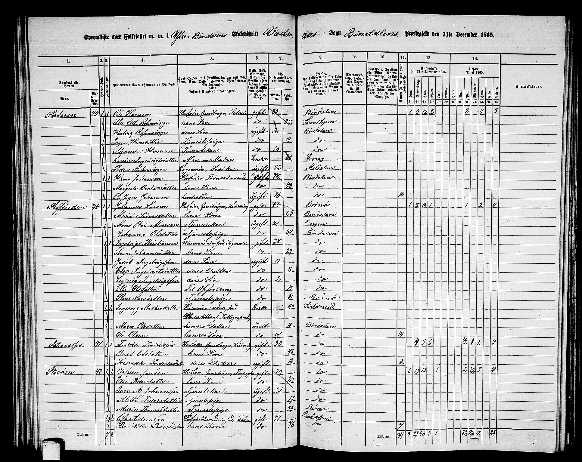 RA, Folketelling 1865 for 1811P Bindal prestegjeld, 1865, s. 48