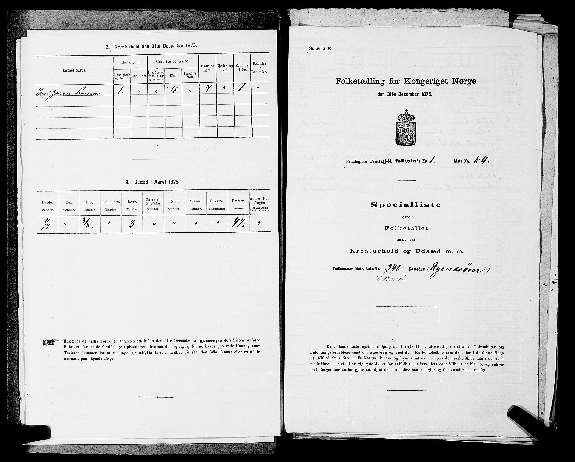 SAKO, Folketelling 1875 for 0726P Brunlanes prestegjeld, 1875, s. 194