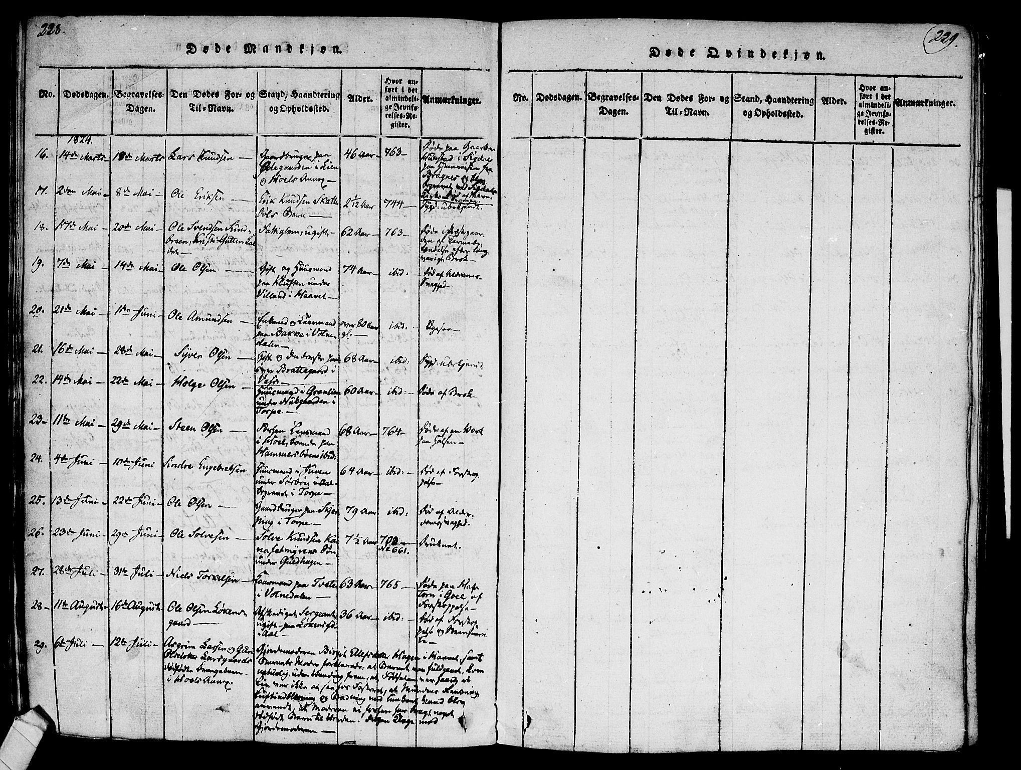 Ål kirkebøker, AV/SAKO-A-249/F/Fa/L0004: Ministerialbok nr. I 4, 1815-1825, s. 228-229