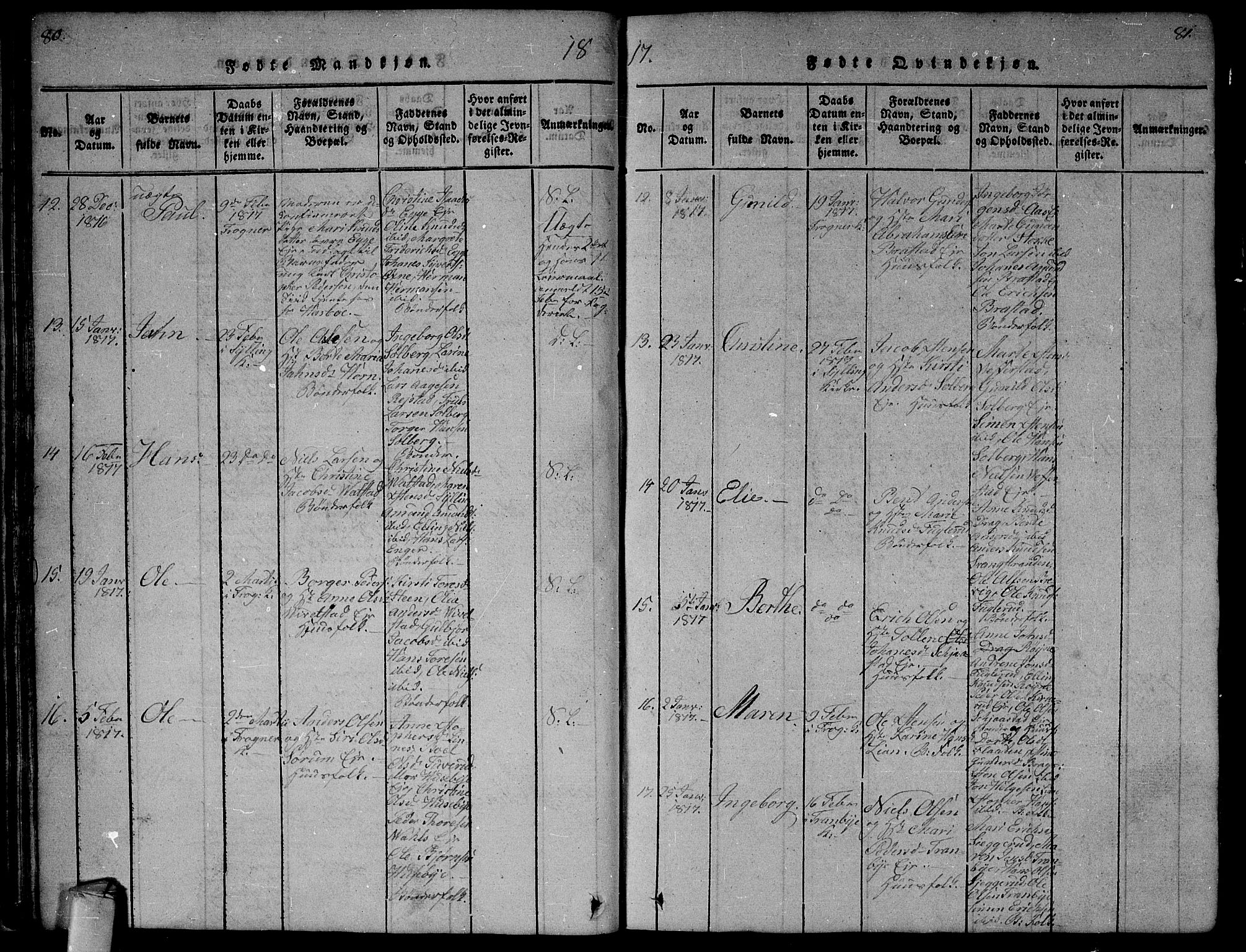 Lier kirkebøker, AV/SAKO-A-230/G/Ga/L0001: Klokkerbok nr. I 1, 1813-1824, s. 80-81