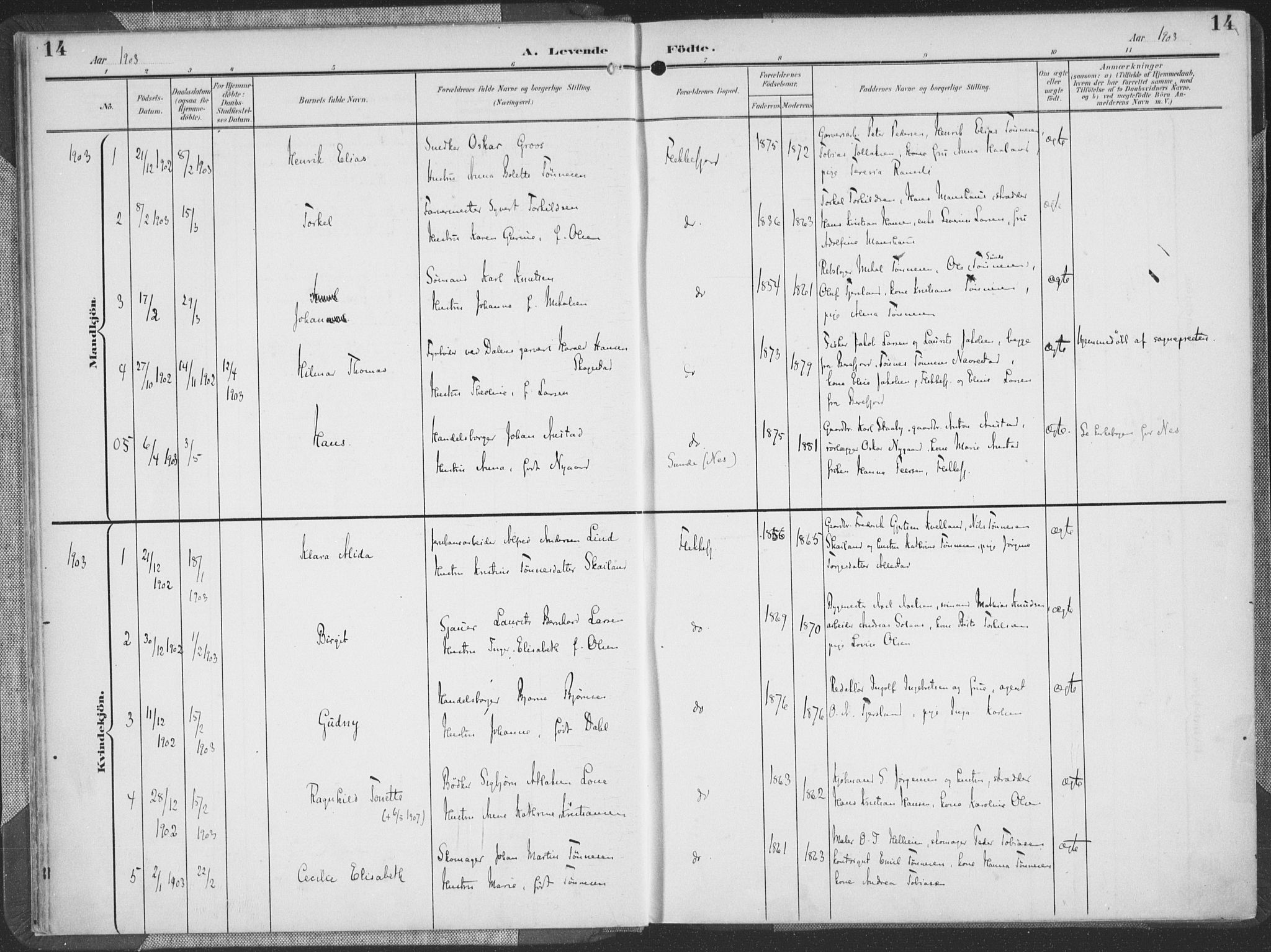 Flekkefjord sokneprestkontor, AV/SAK-1111-0012/F/Fa/Faa/L0002: Ministerialbok nr. A 2, 1900-1912, s. 14