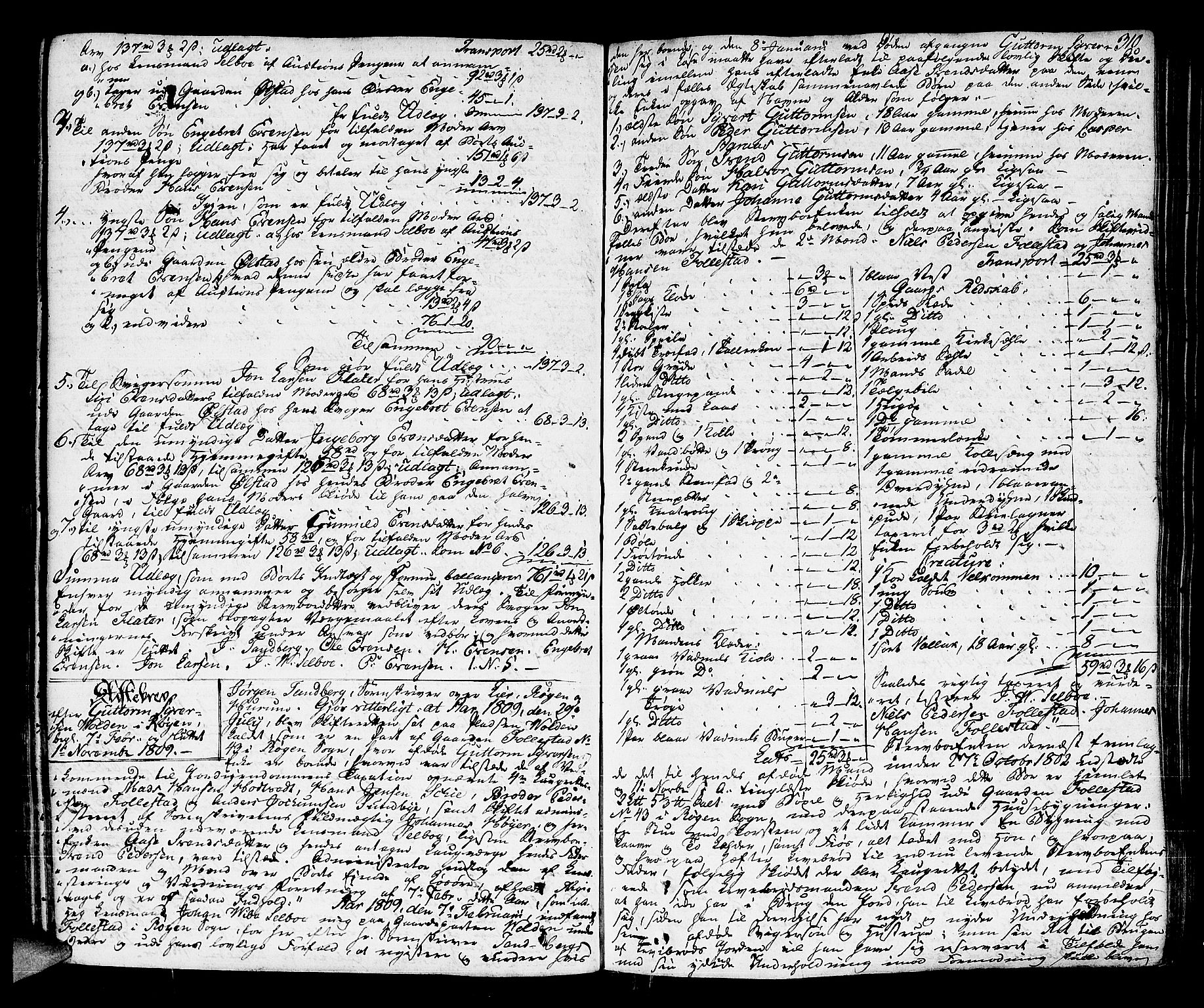 Lier, Røyken og Hurum sorenskriveri, AV/SAKO-A-89/H/Hc/L0009: Skifteprotokoll, 1805-1813, s. 309b-310a
