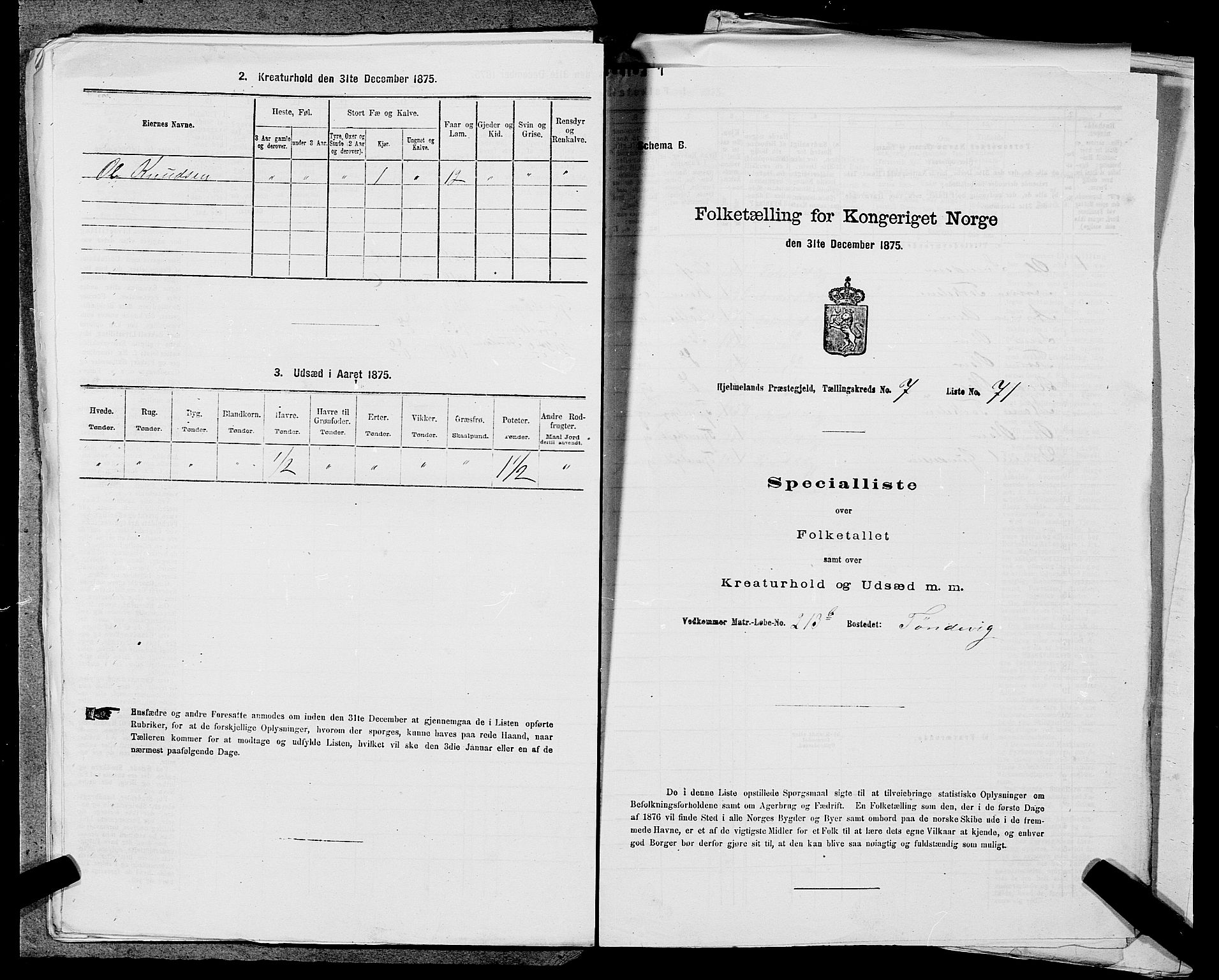 SAST, Folketelling 1875 for 1133P Hjelmeland prestegjeld, 1875, s. 1044