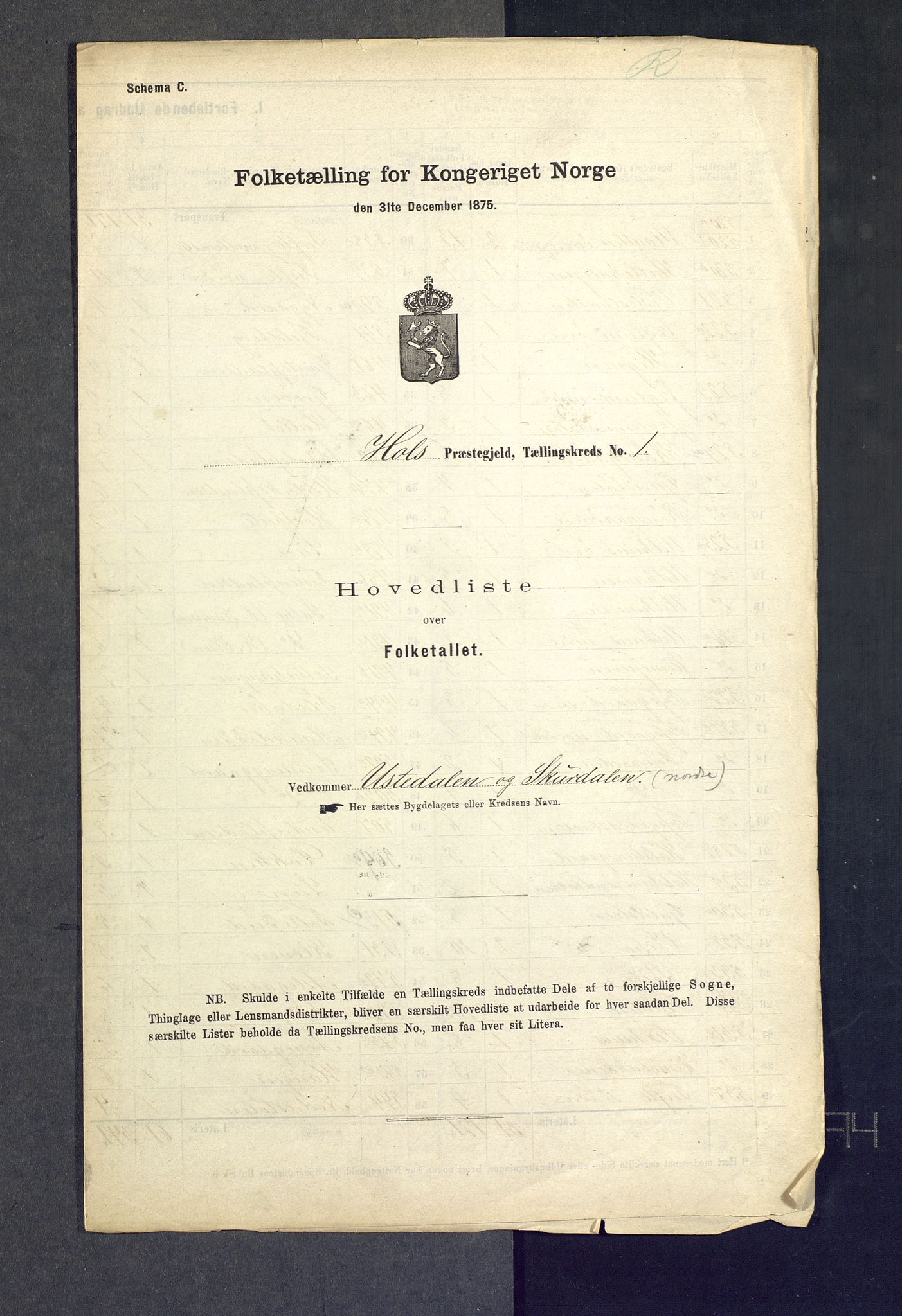 SAKO, Folketelling 1875 for 0620P Hol prestegjeld, 1875, s. 2