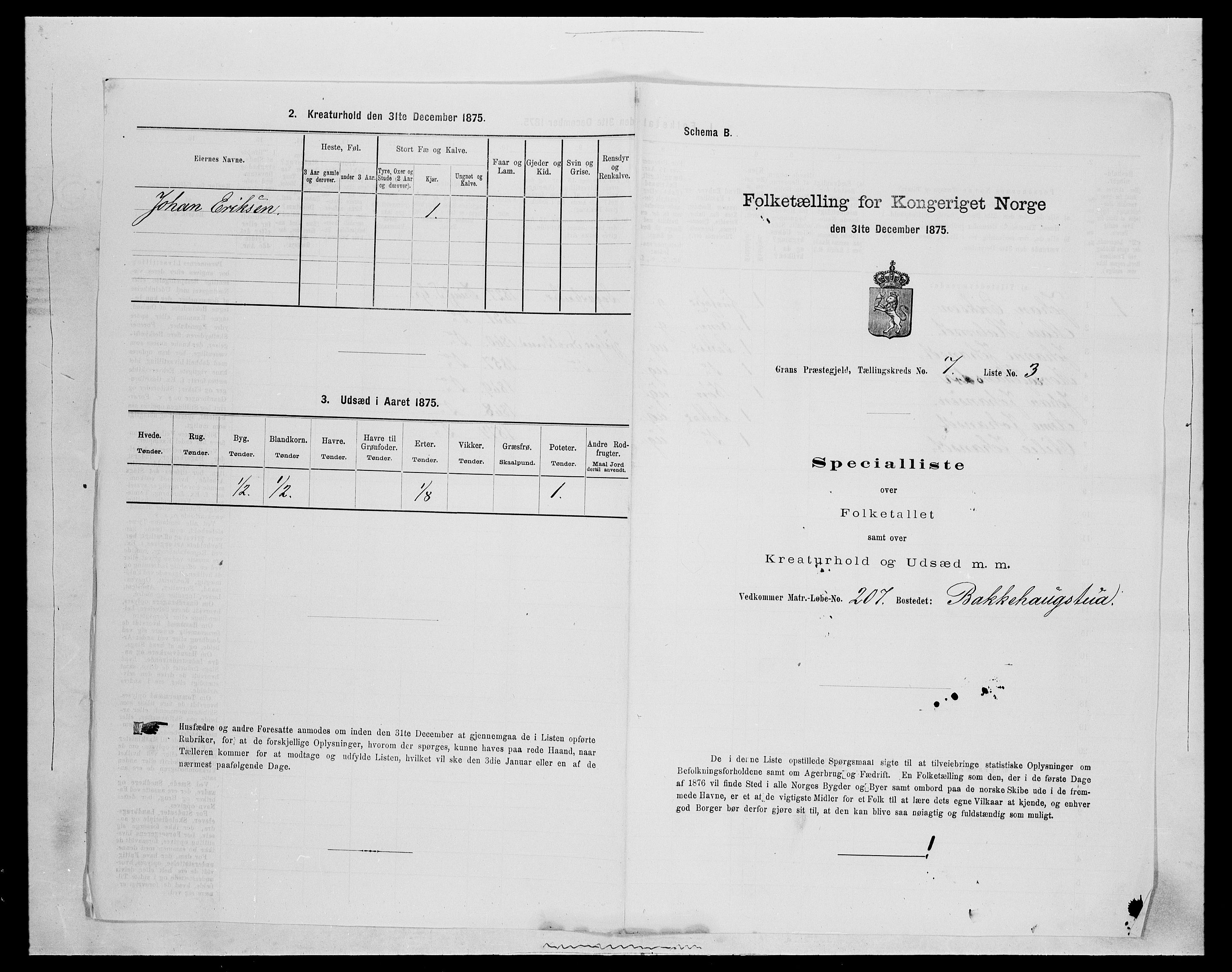 SAH, Folketelling 1875 for 0534P Gran prestegjeld, 1875, s. 1169