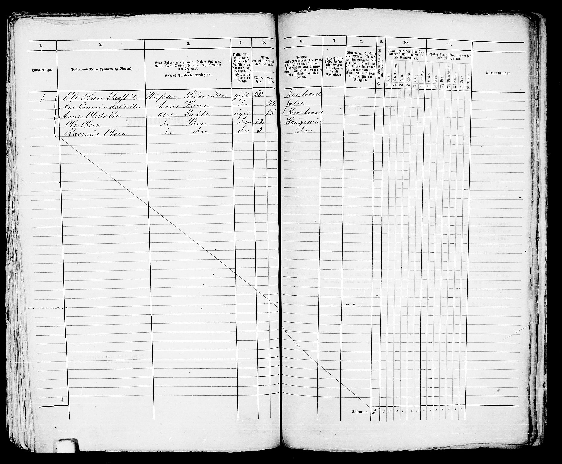 RA, Folketelling 1865 for 1106B Torvastad prestegjeld, Haugesund ladested, 1865, s. 502