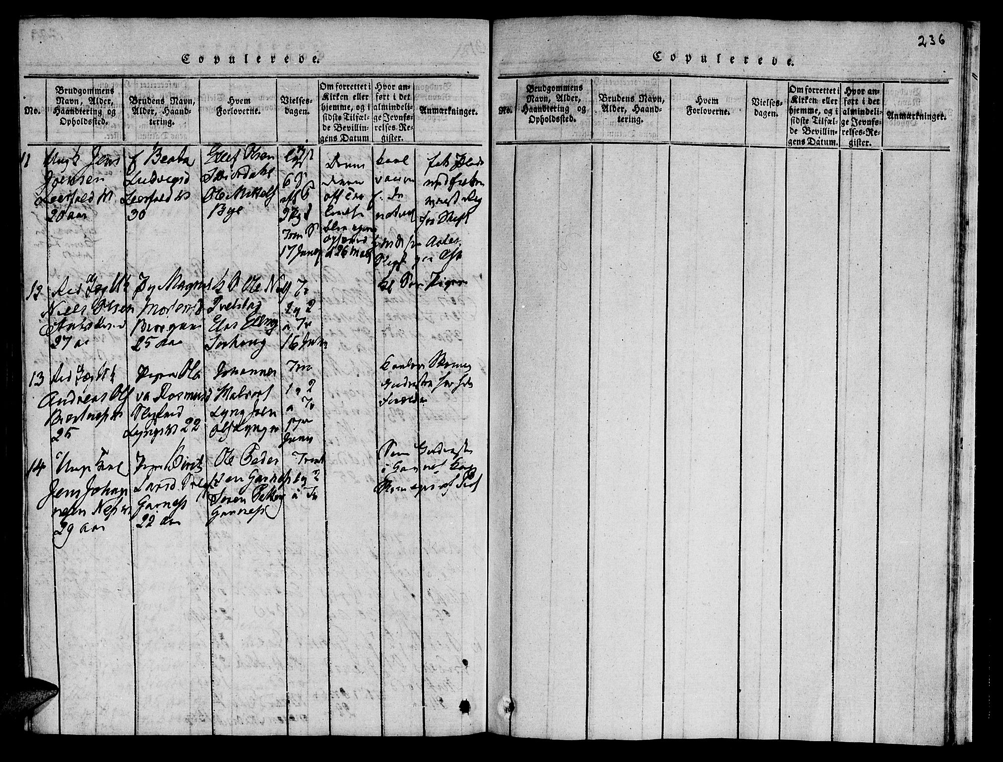 Ministerialprotokoller, klokkerbøker og fødselsregistre - Nord-Trøndelag, SAT/A-1458/723/L0251: Klokkerbok nr. 723C01 /1, 1816-1831, s. 236