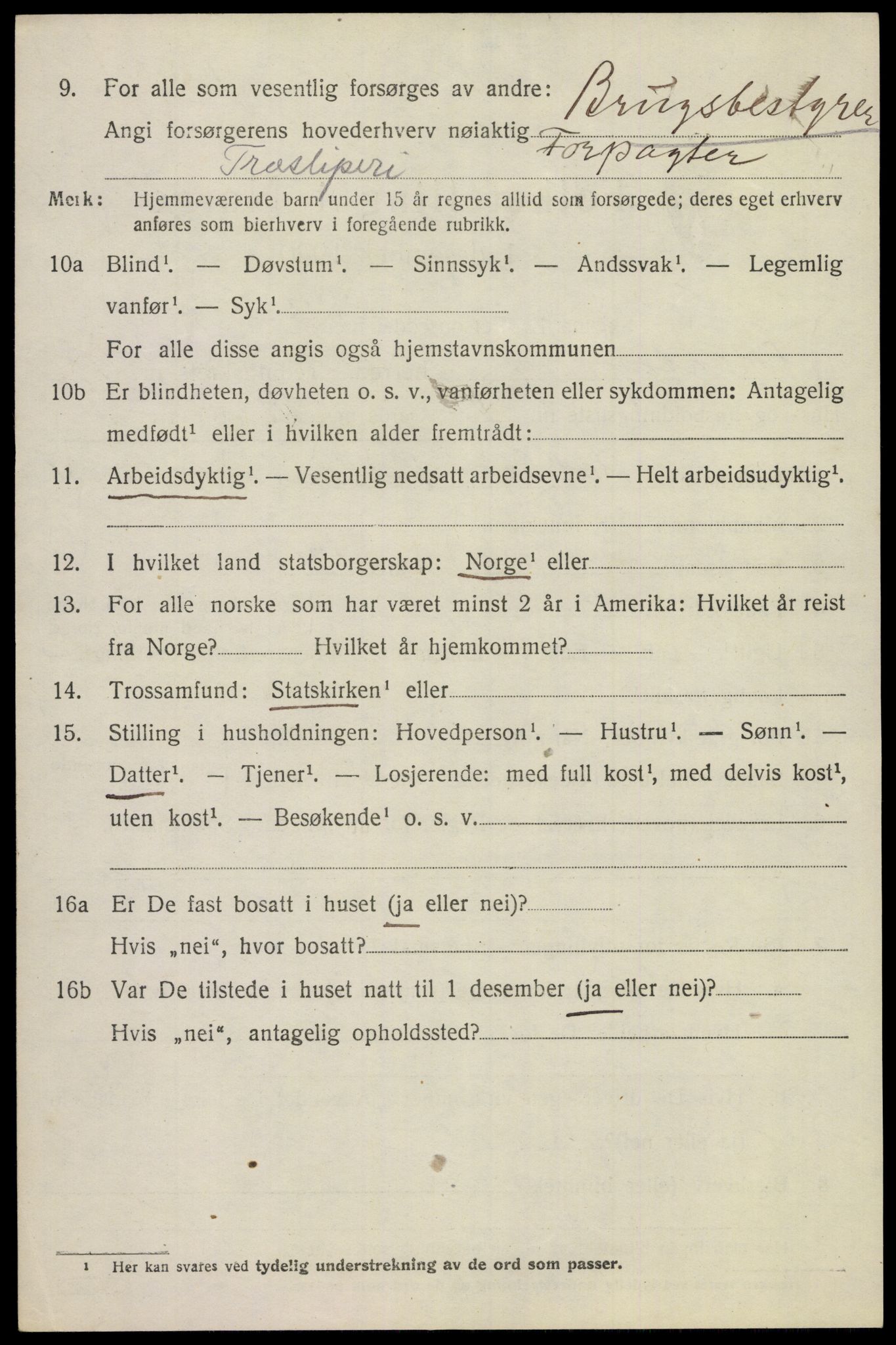 SAKO, Folketelling 1920 for 0815 Skåtøy herred, 1920, s. 6645