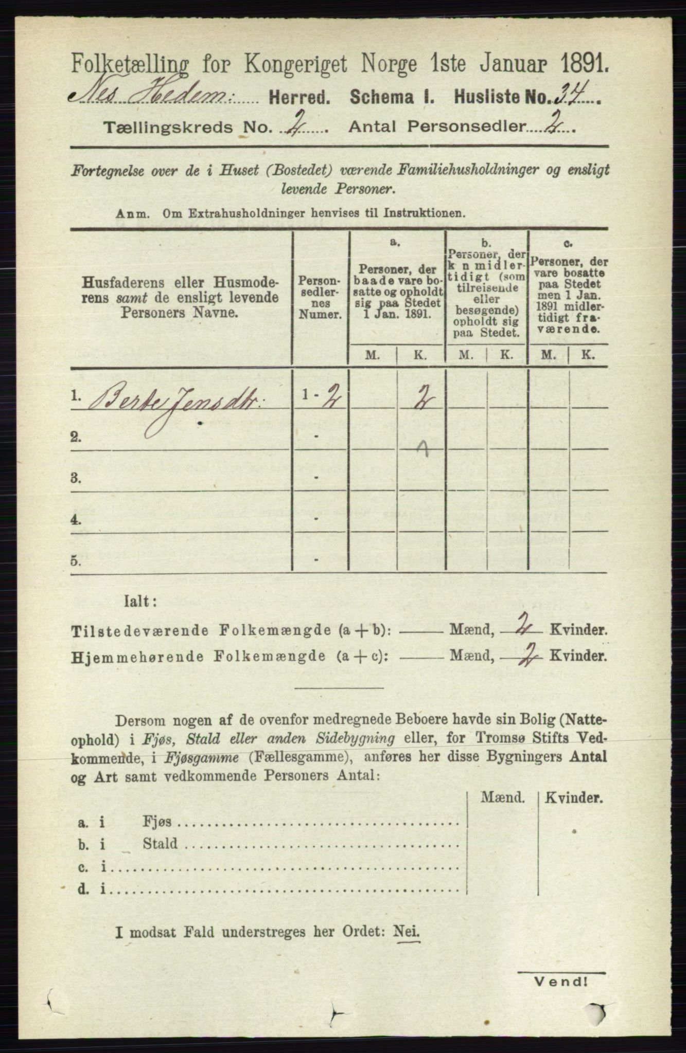RA, Folketelling 1891 for 0411 Nes herred, 1891, s. 1038