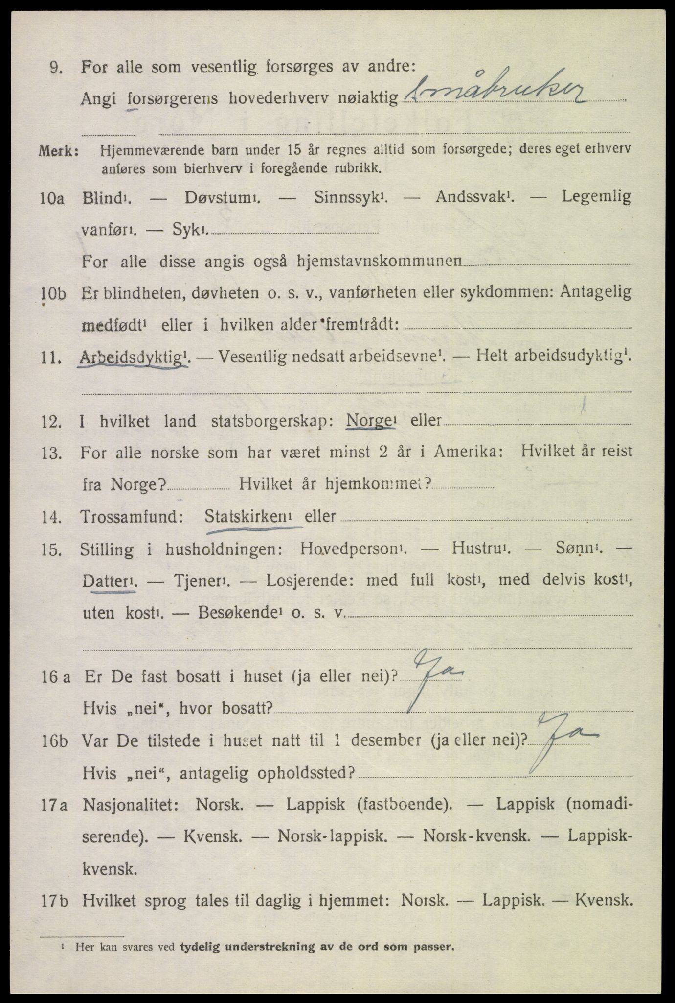 SAT, Folketelling 1920 for 1861 Hol herred, 1920, s. 5208