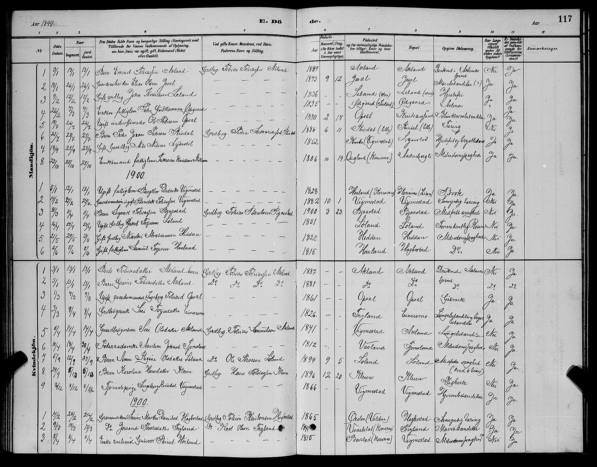 Nord-Audnedal sokneprestkontor, SAK/1111-0032/F/Fb/Fbb/L0003: Klokkerbok nr. B 3, 1882-1900, s. 117