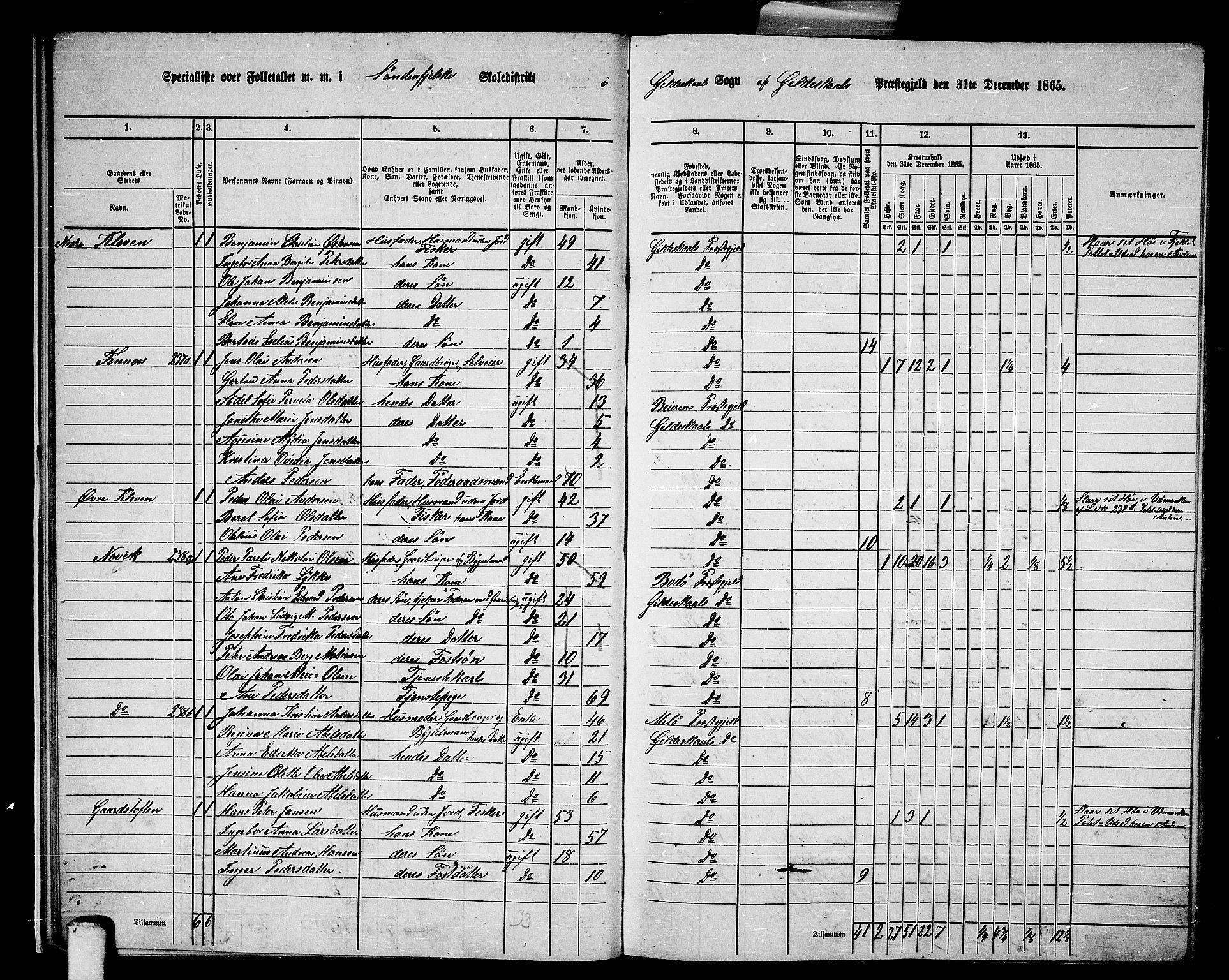 RA, Folketelling 1865 for 1838P Gildeskål prestegjeld, 1865, s. 17