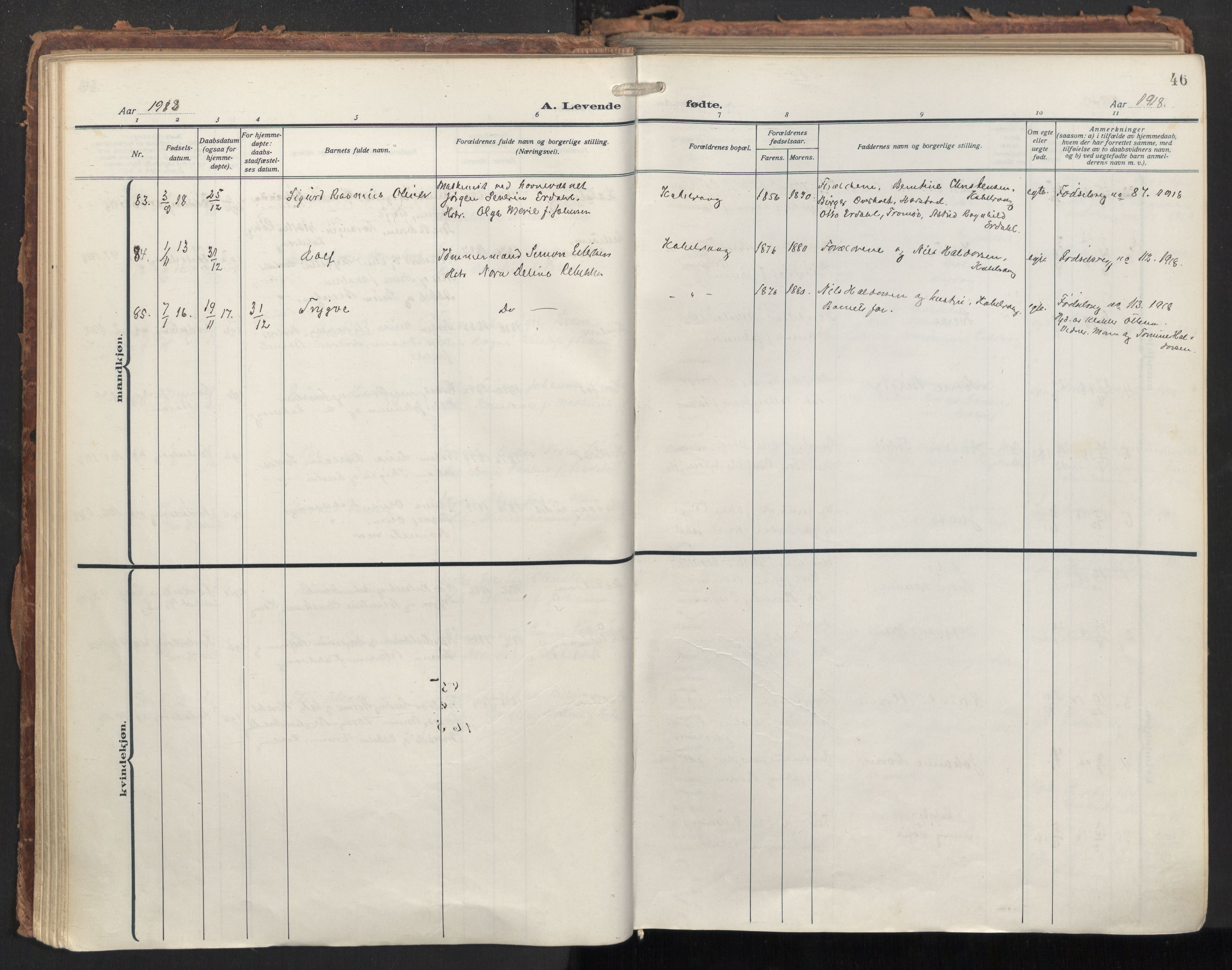 Ministerialprotokoller, klokkerbøker og fødselsregistre - Nordland, SAT/A-1459/874/L1064: Ministerialbok nr. 874A08, 1915-1926, s. 46