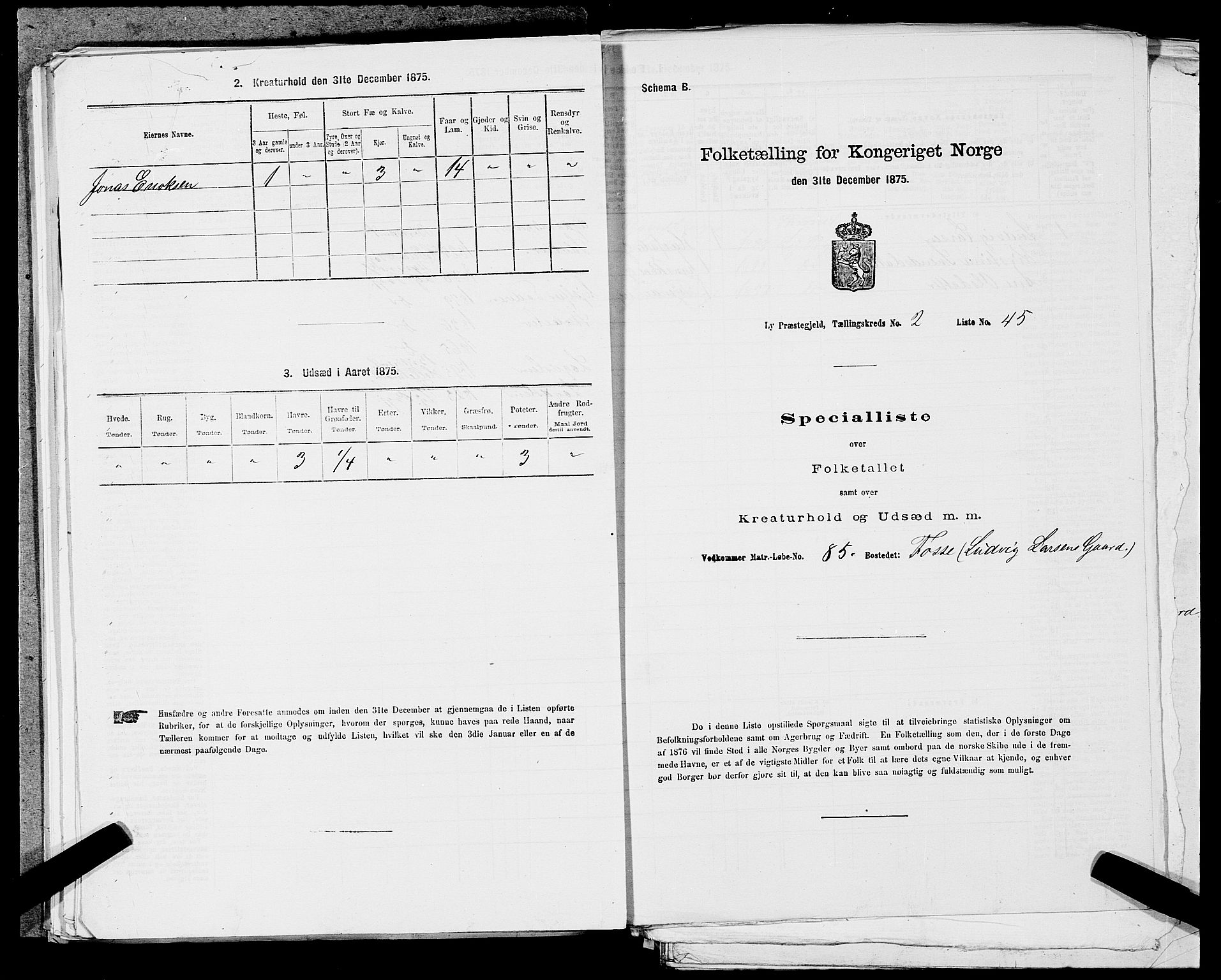 SAST, Folketelling 1875 for 1121P Lye prestegjeld, 1875, s. 319