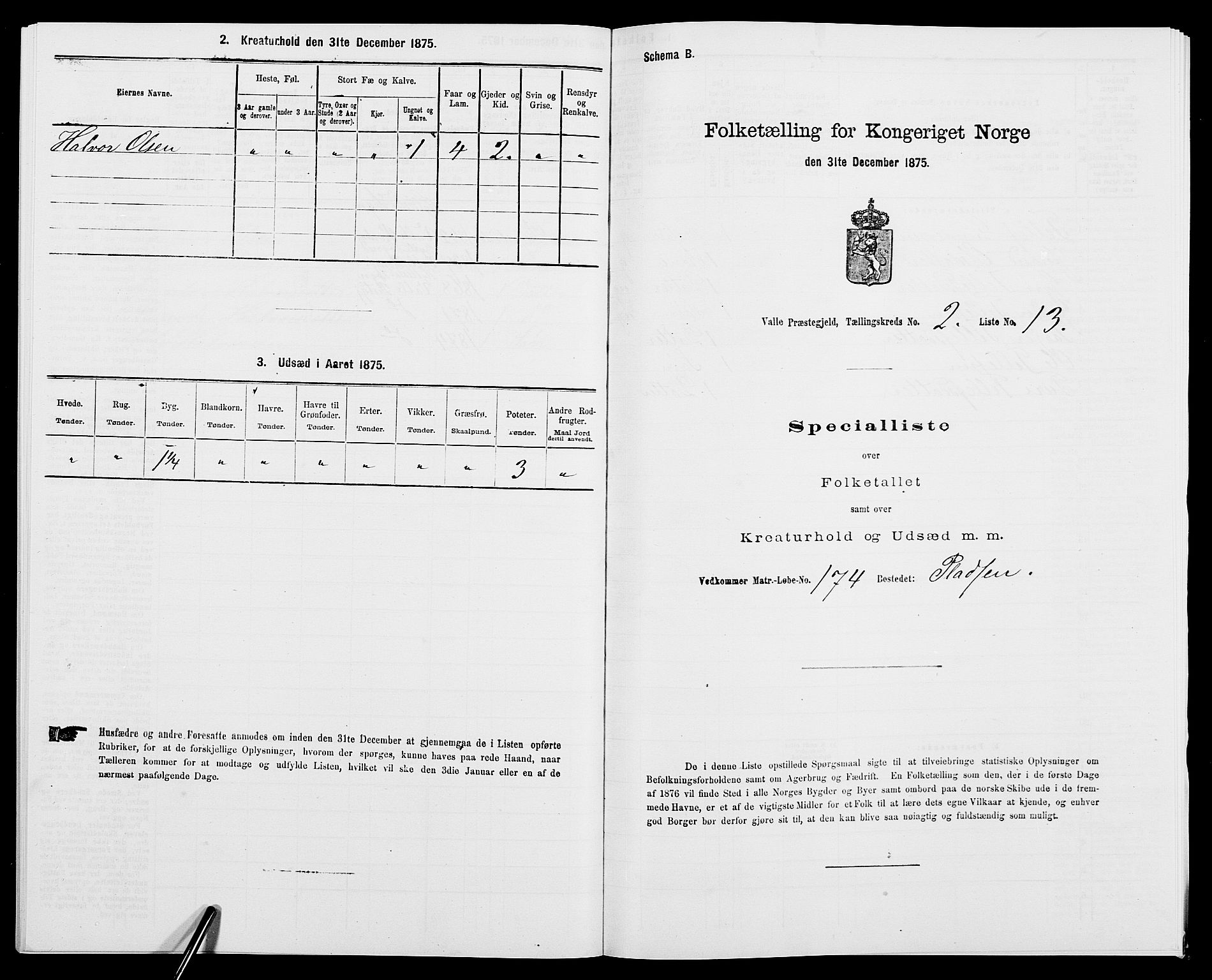 SAK, Folketelling 1875 for 0940P Valle prestegjeld, 1875, s. 175