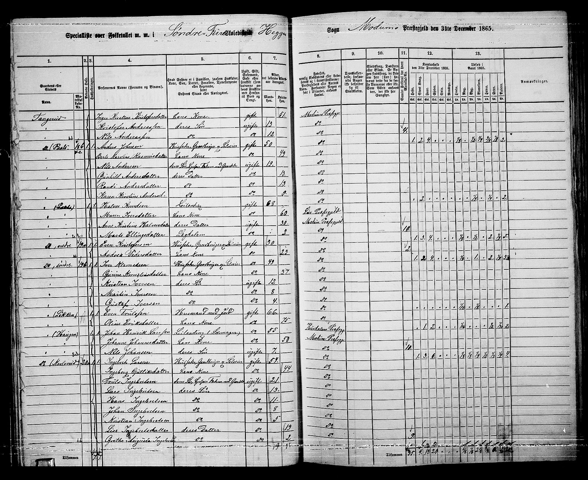 RA, Folketelling 1865 for 0623P Modum prestegjeld, 1865, s. 35
