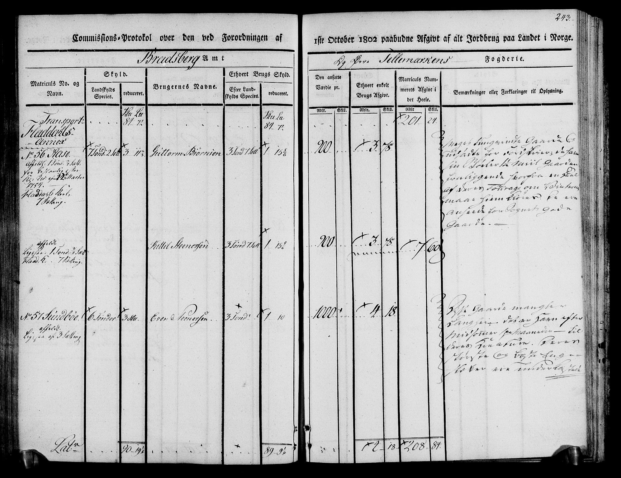 Rentekammeret inntil 1814, Realistisk ordnet avdeling, RA/EA-4070/N/Ne/Nea/L0074: Øvre Telemarken fogderi. Kommisjonsprotokoll for fogderiets østre del - Tinn, Hjartdal og Seljord prestegjeld., 1803, s. 243