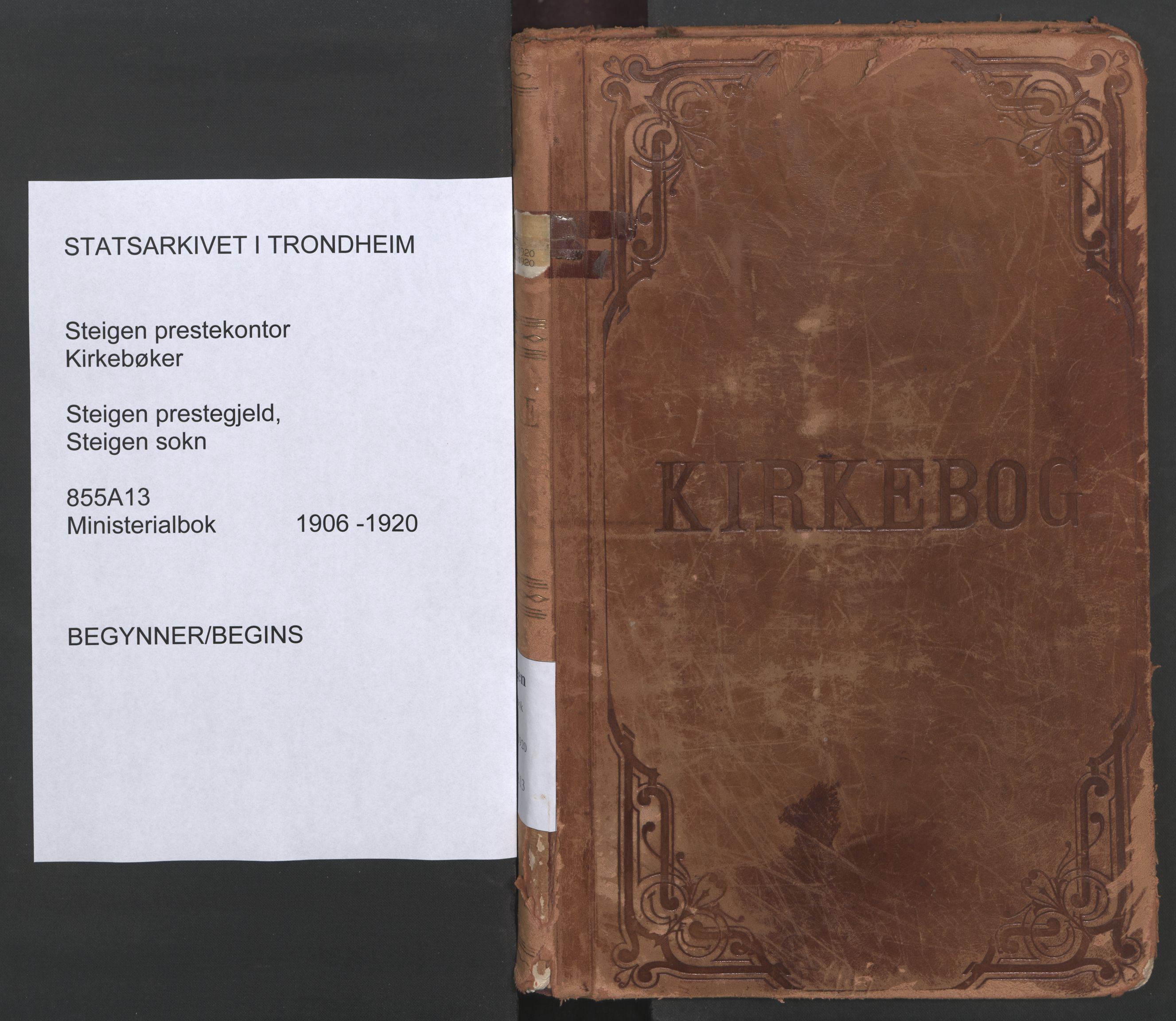 Ministerialprotokoller, klokkerbøker og fødselsregistre - Nordland, AV/SAT-A-1459/855/L0805: Ministerialbok nr. 855A13, 1906-1920