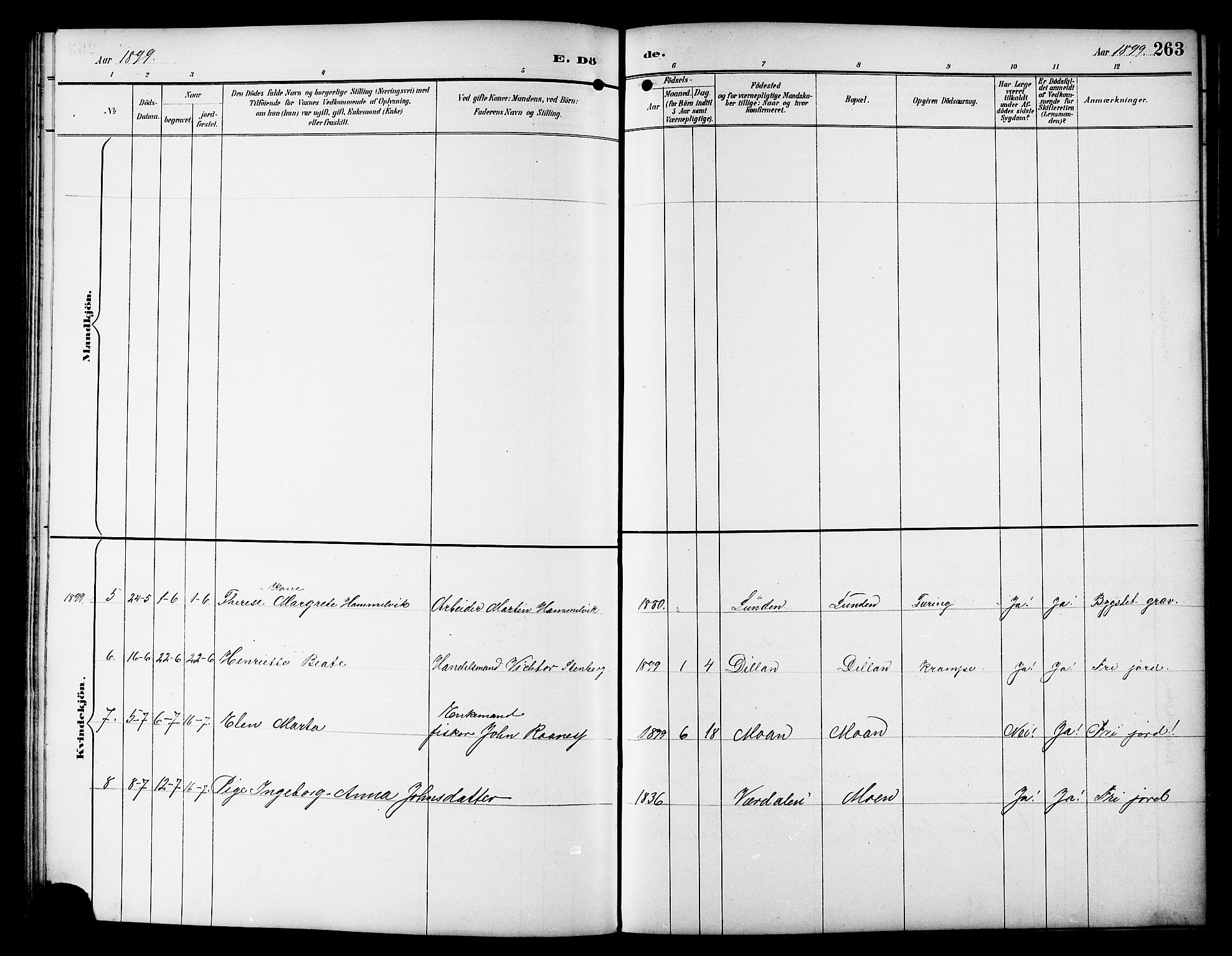 Ministerialprotokoller, klokkerbøker og fødselsregistre - Sør-Trøndelag, SAT/A-1456/617/L0431: Klokkerbok nr. 617C01, 1889-1910, s. 263