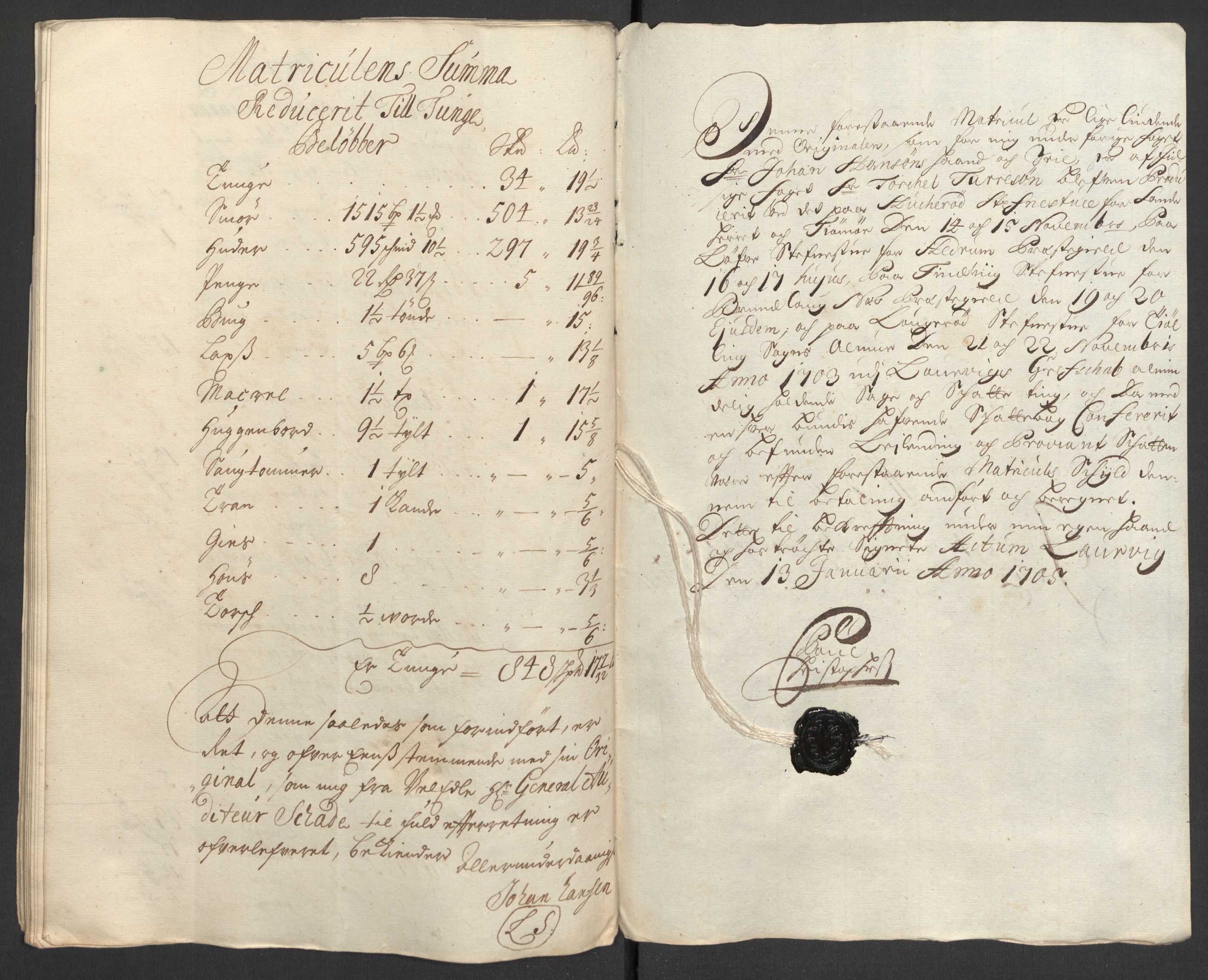 Rentekammeret inntil 1814, Reviderte regnskaper, Fogderegnskap, RA/EA-4092/R33/L1978: Fogderegnskap Larvik grevskap, 1704-1705, s. 139