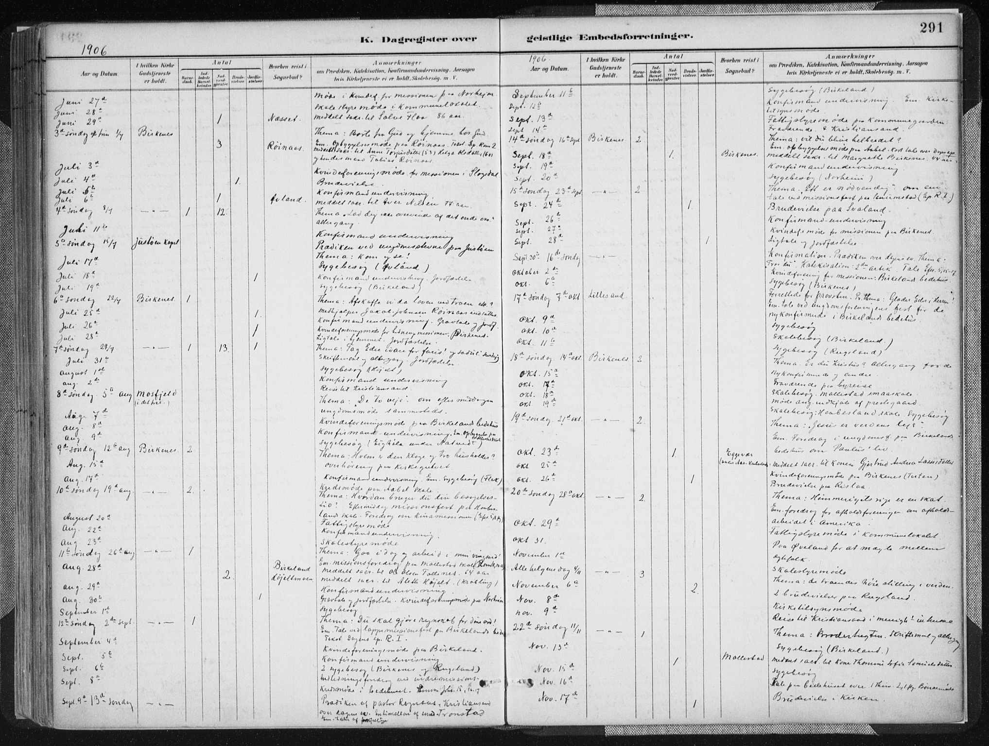 Birkenes sokneprestkontor, SAK/1111-0004/F/Fa/L0005: Ministerialbok nr. A 5, 1887-1907, s. 291