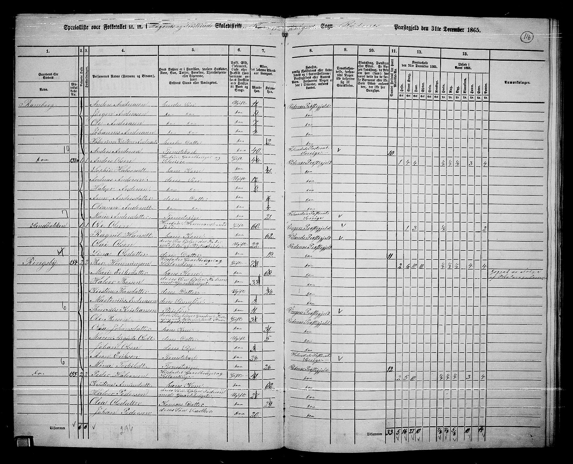 RA, Folketelling 1865 for 0120P Rødenes prestegjeld, 1865, s. 101