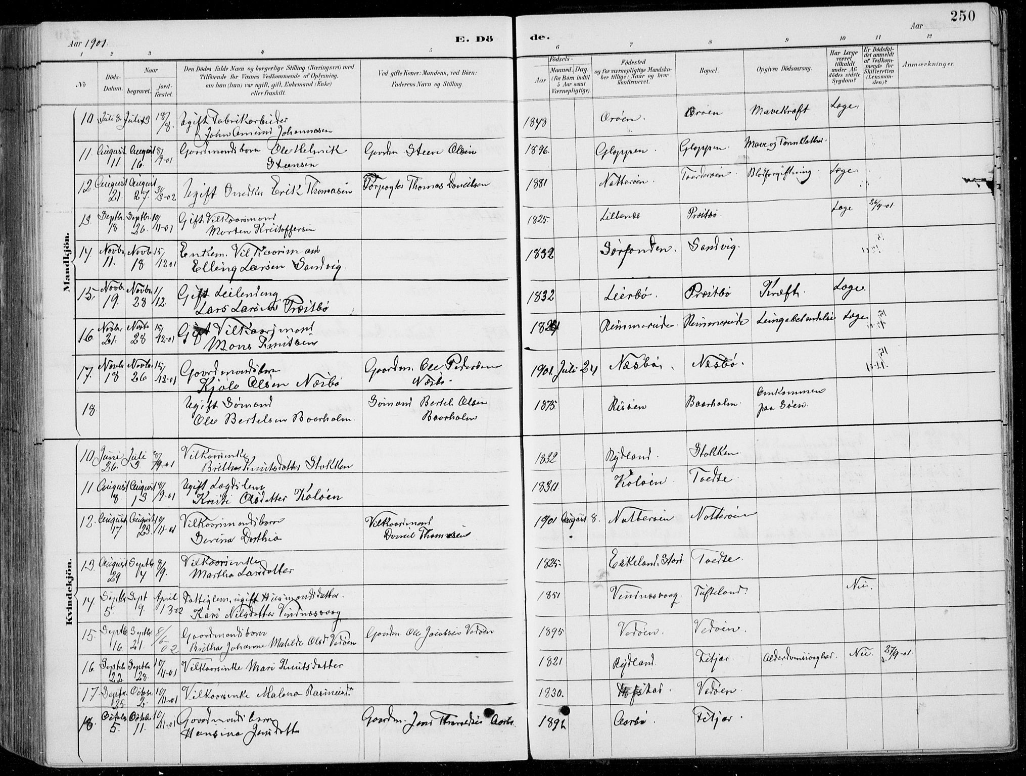 Fitjar sokneprestembete, AV/SAB-A-99926: Klokkerbok nr. A 2, 1887-1906, s. 250