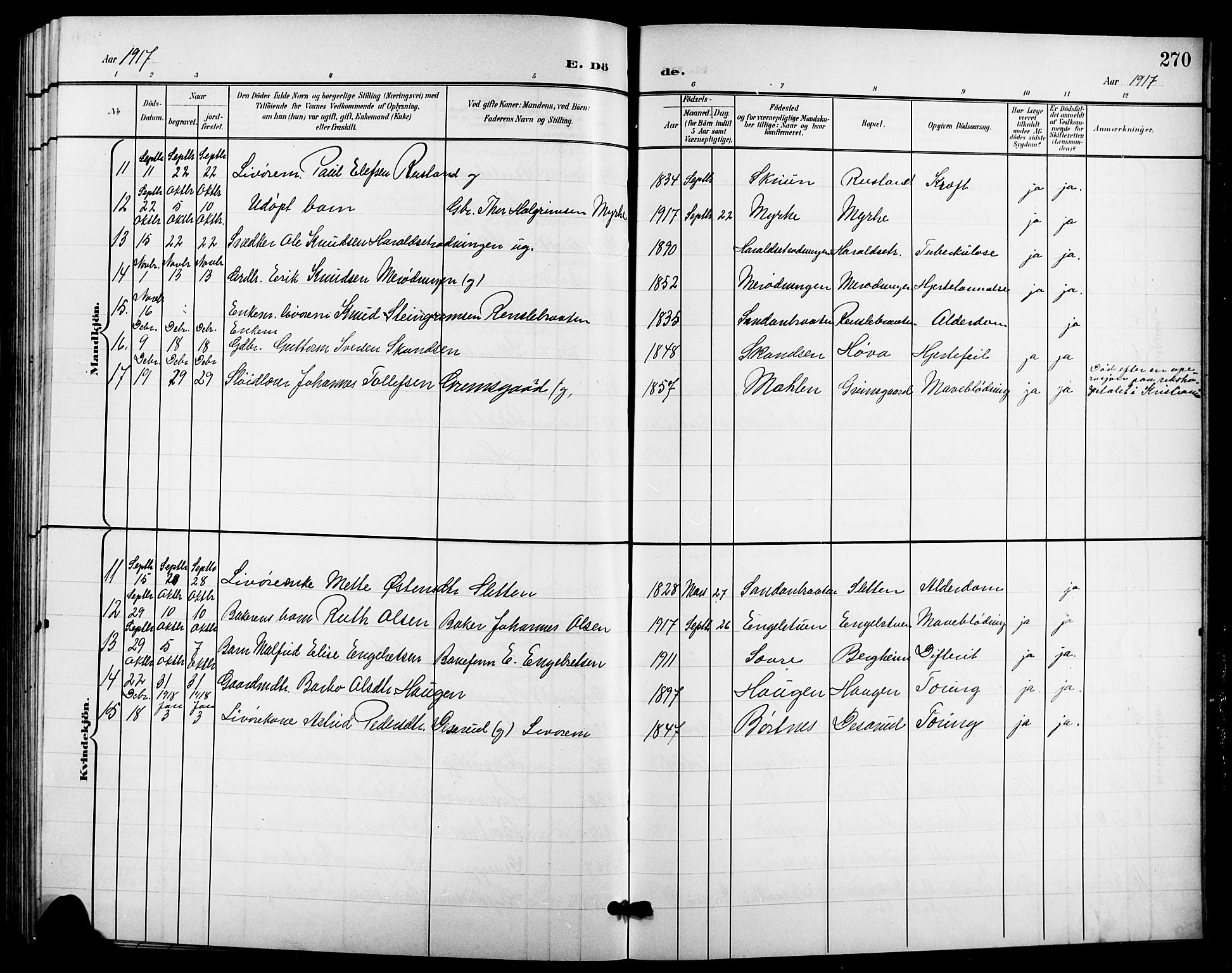 Nes kirkebøker, AV/SAKO-A-236/G/Ga/L0004: Klokkerbok nr. I 4, 1900-1925, s. 270