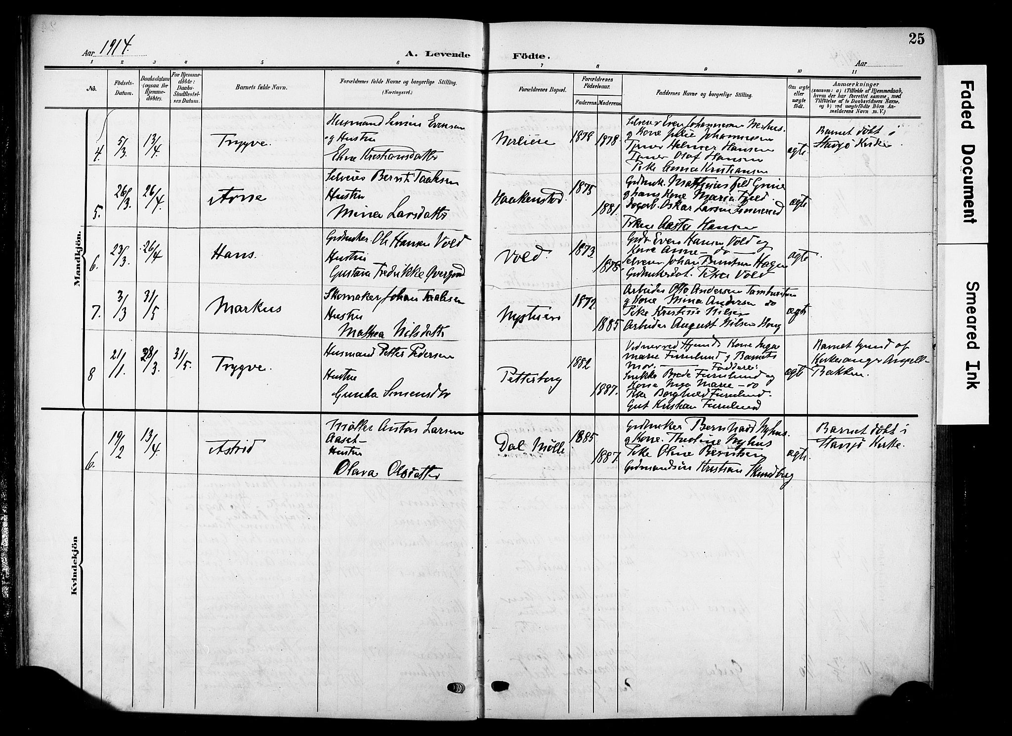 Nes prestekontor, Hedmark, AV/SAH-PREST-020/K/Ka/L0014: Ministerialbok nr. 14, 1906-1929, s. 25