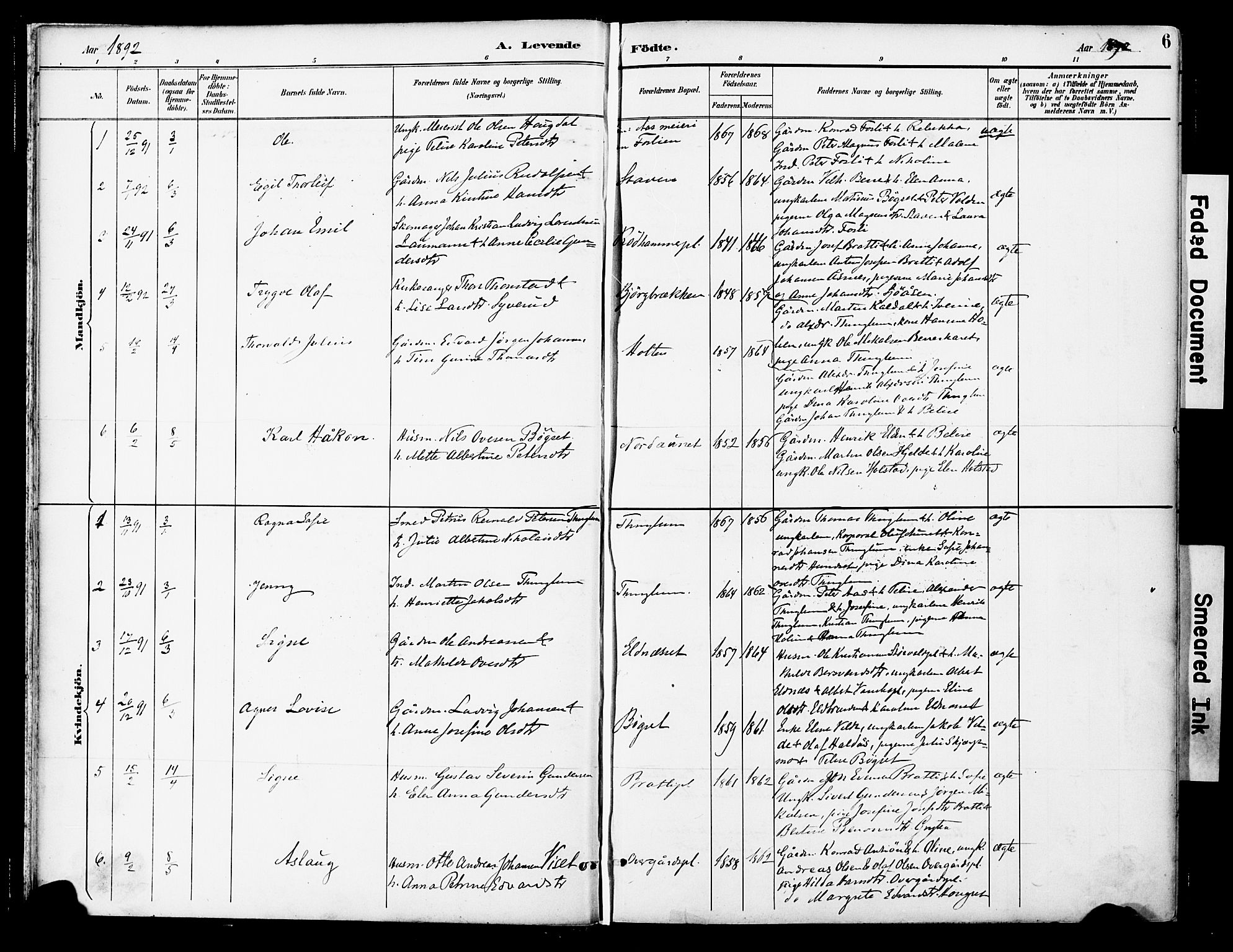 Ministerialprotokoller, klokkerbøker og fødselsregistre - Nord-Trøndelag, AV/SAT-A-1458/742/L0409: Ministerialbok nr. 742A02, 1891-1905, s. 6