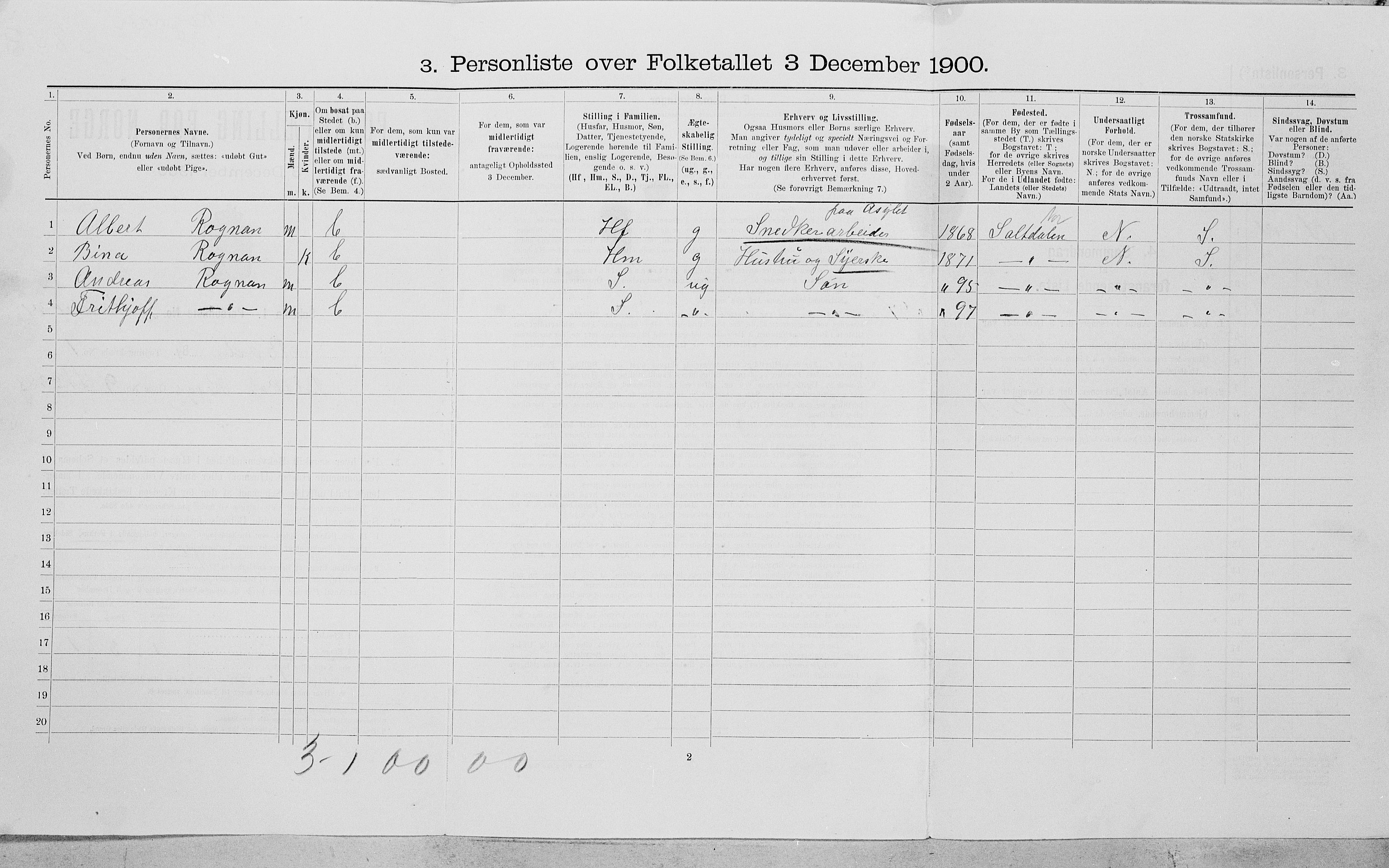 SAT, Folketelling 1900 for 1804 Bodø kjøpstad, 1900, s. 207