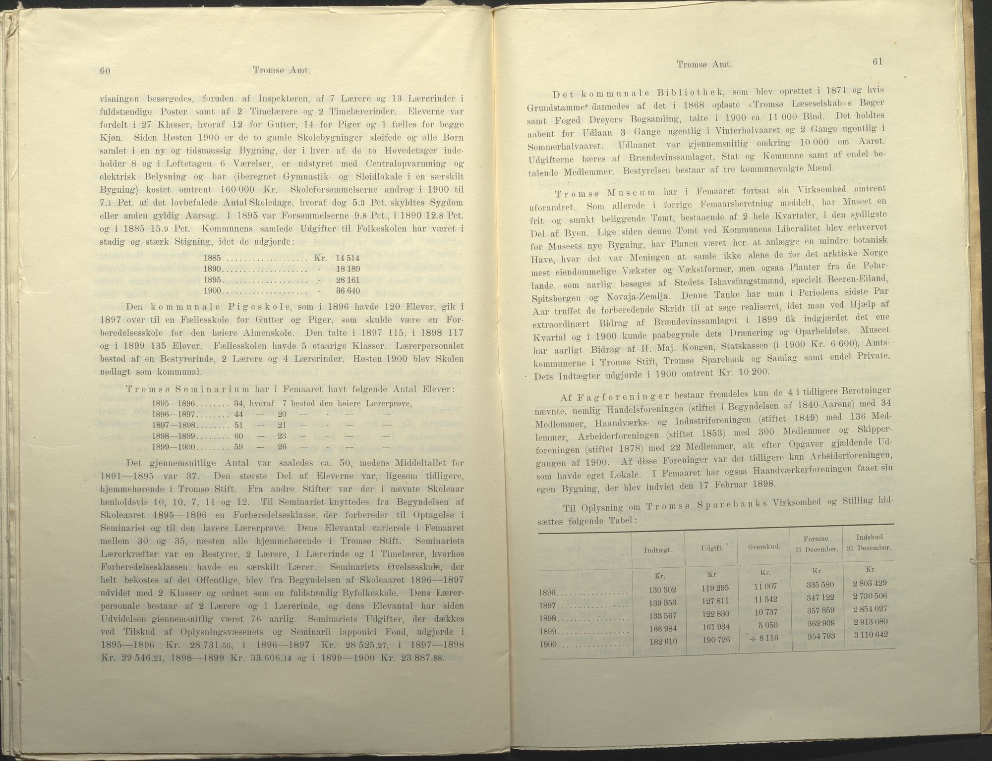 Fylkesmannen i Troms, AV/SATØ-S-0001/A7.25.1/L2072: Femårsberetninger, 1891-1900, s. 336