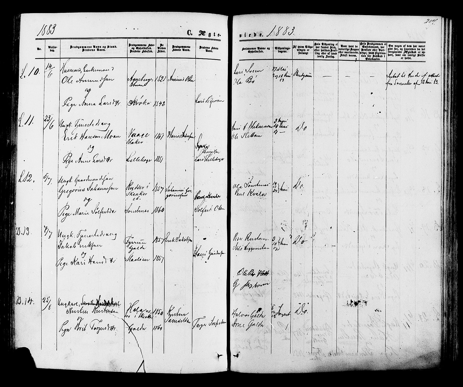 Lom prestekontor, AV/SAH-PREST-070/K/L0007: Ministerialbok nr. 7, 1863-1884, s. 207