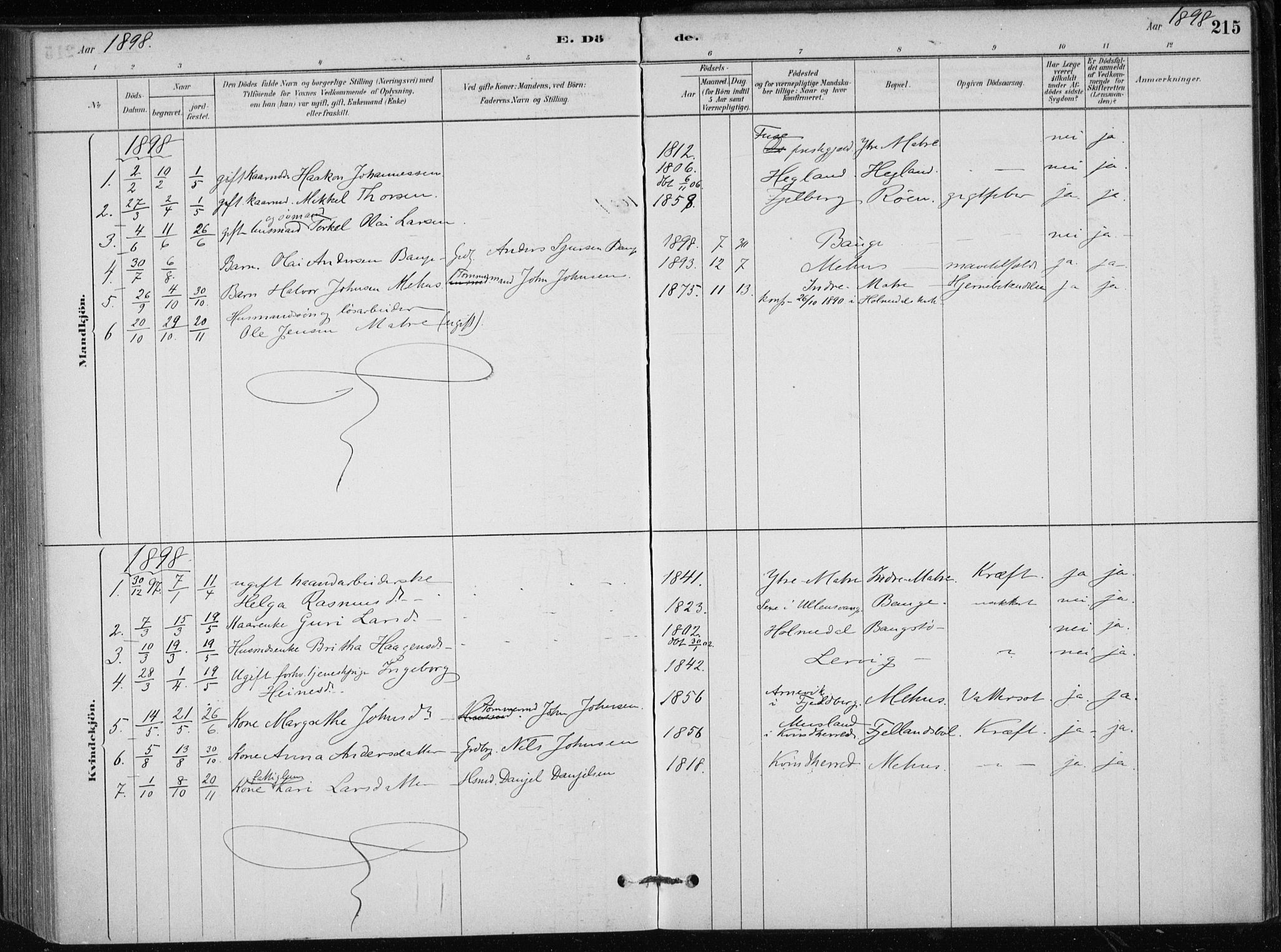 Skånevik sokneprestembete, AV/SAB-A-77801/H/Haa: Ministerialbok nr. C  1, 1879-1917, s. 215