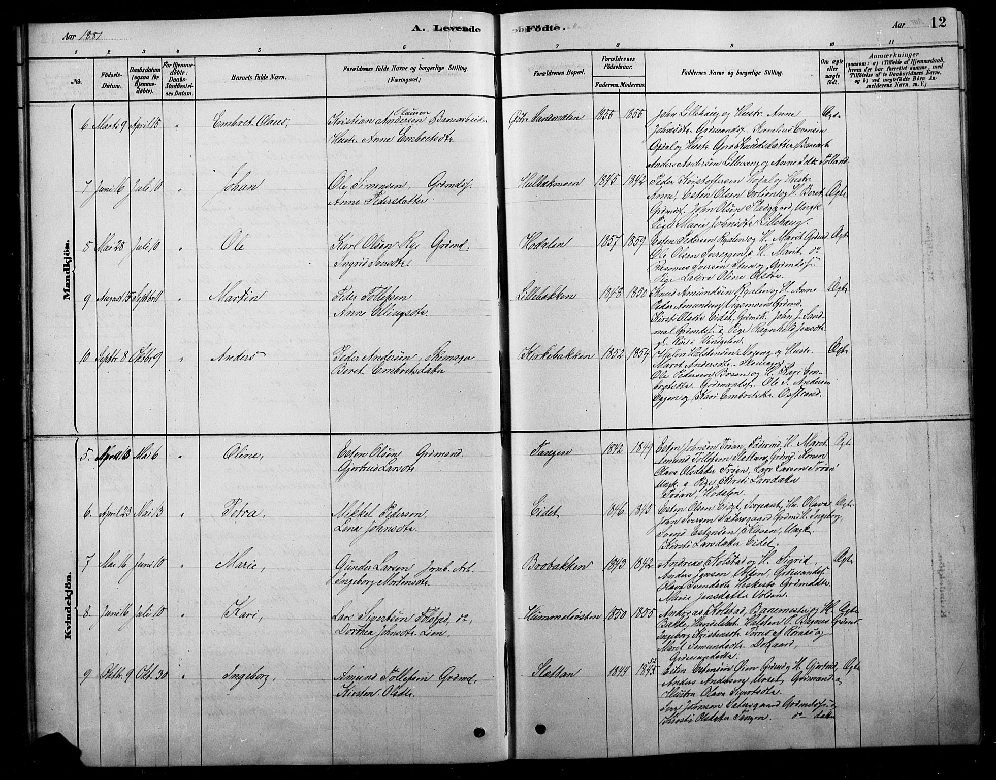 Tolga prestekontor, AV/SAH-PREST-062/L/L0007: Klokkerbok nr. 7, 1878-1919, s. 12