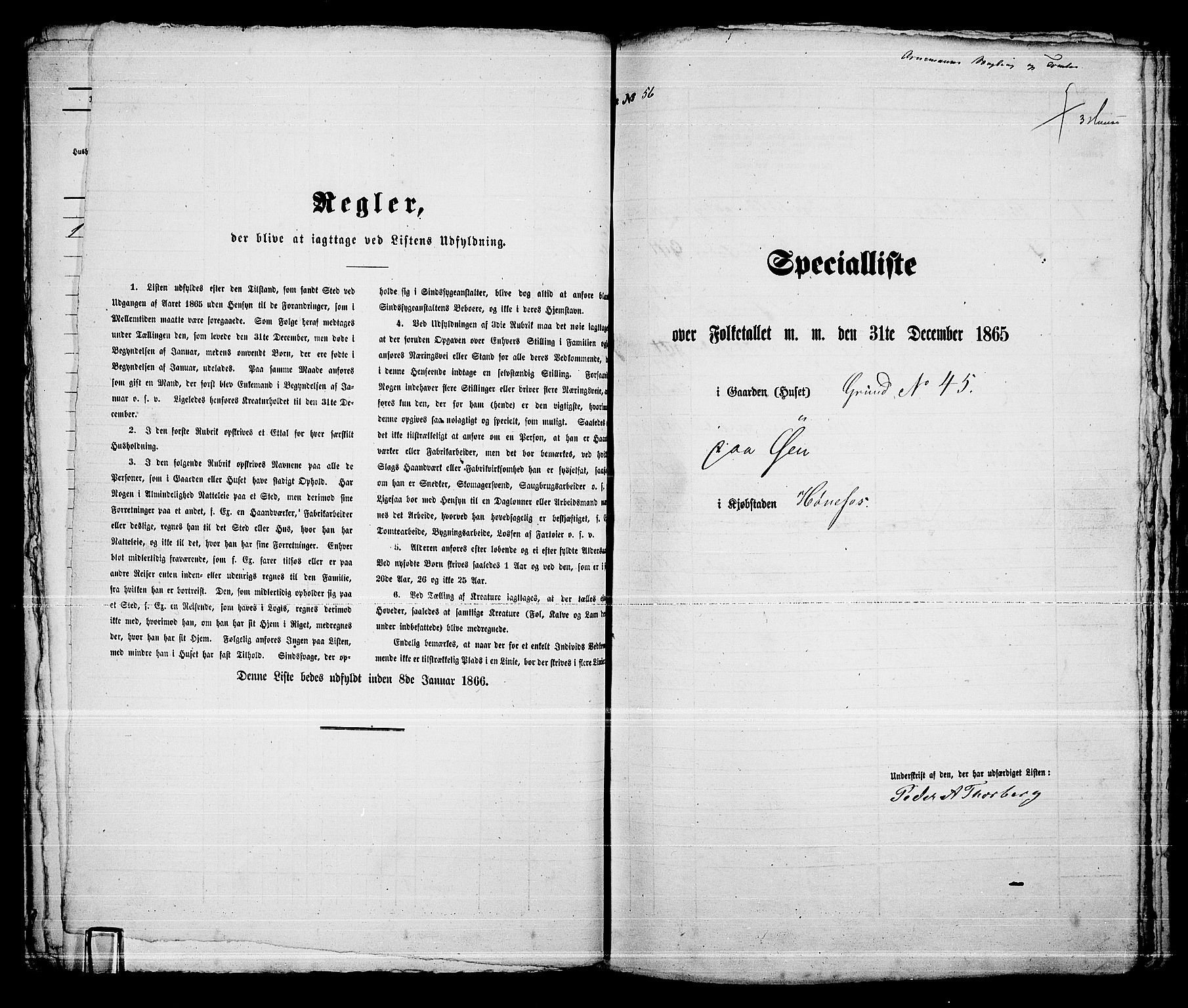 RA, Folketelling 1865 for 0601B Norderhov prestegjeld, Hønefoss kjøpstad, 1865, s. 110