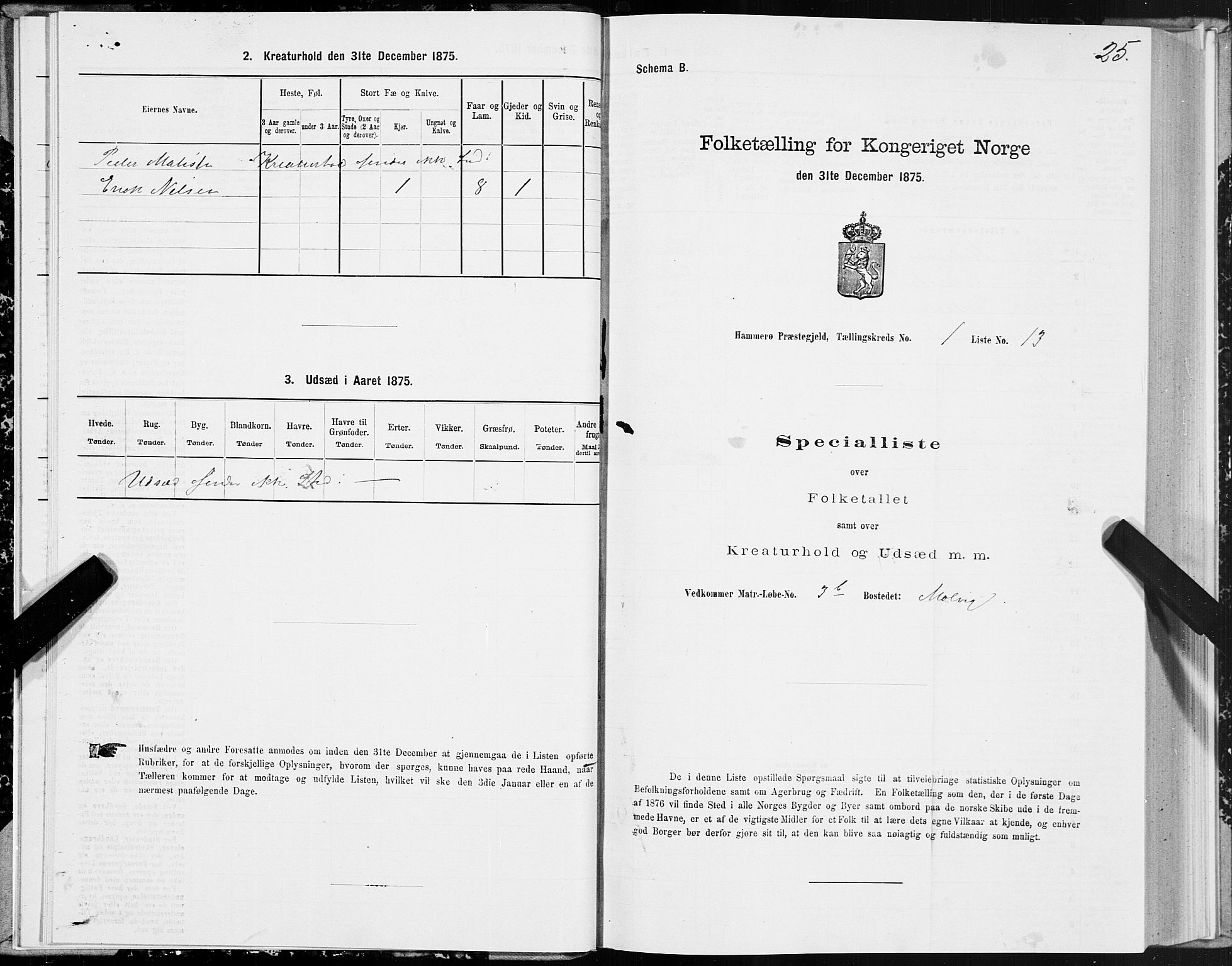SAT, Folketelling 1875 for 1849P Hamarøy prestegjeld, 1875, s. 1025