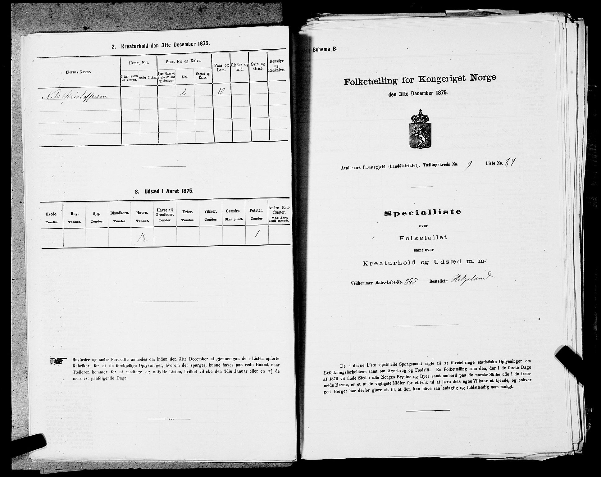 SAST, Folketelling 1875 for 1147L Avaldsnes prestegjeld, Avaldsnes sokn og Kopervik landsokn, 1875, s. 1593