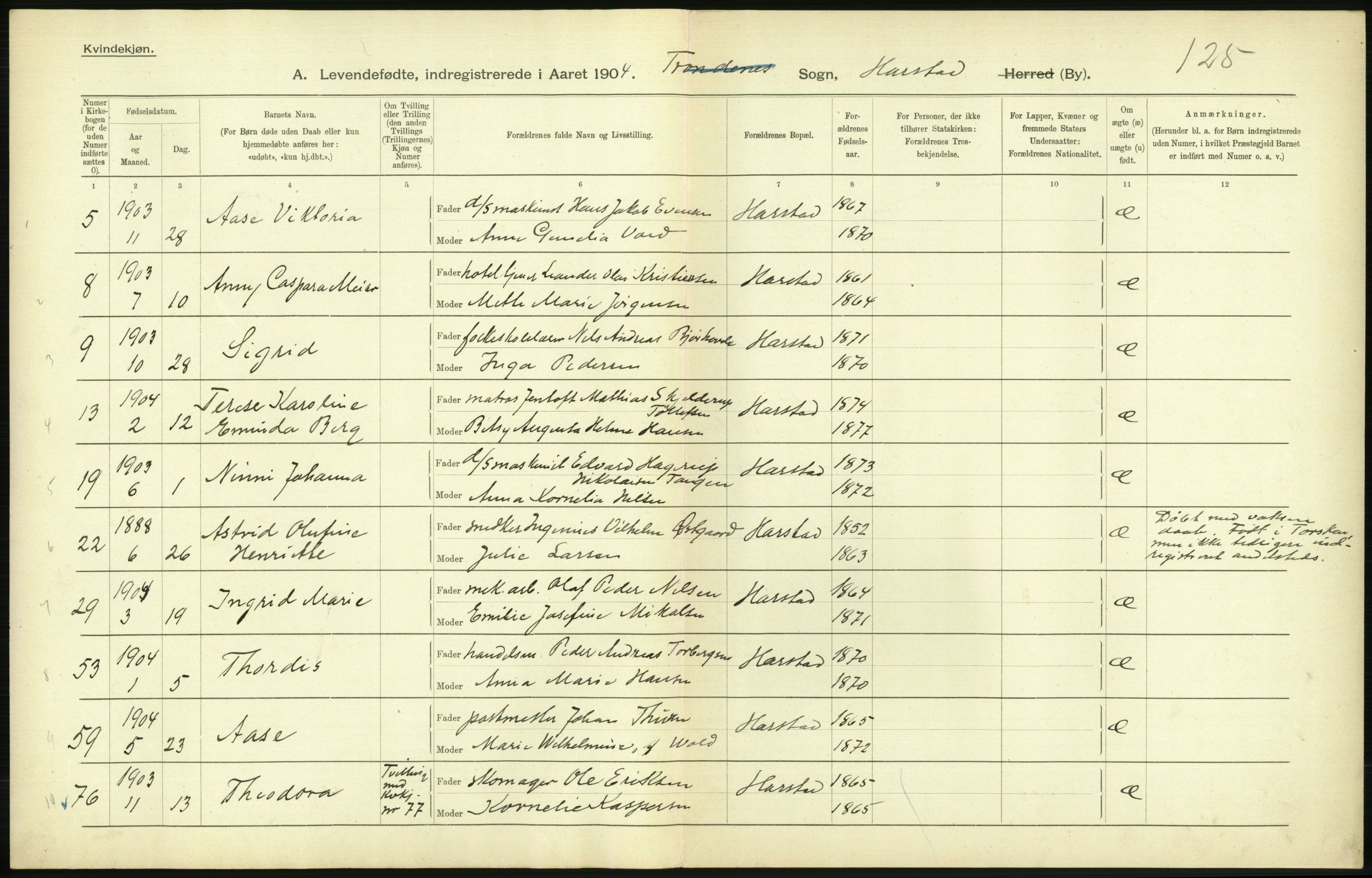 Statistisk sentralbyrå, Sosiodemografiske emner, Befolkning, AV/RA-S-2228/D/Df/Dfa/Dfab/L0022: Tromsø amt: Fødte, gifte, døde, 1904, s. 290
