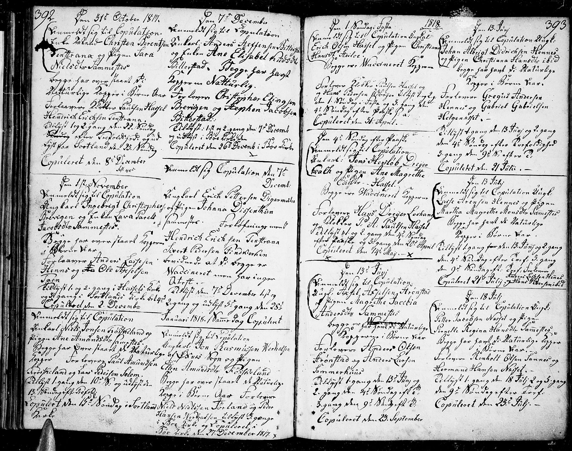 Ministerialprotokoller, klokkerbøker og fødselsregistre - Nordland, AV/SAT-A-1459/888/L1235: Ministerialbok nr. 888A04 /1, 1812-1820, s. 392-393