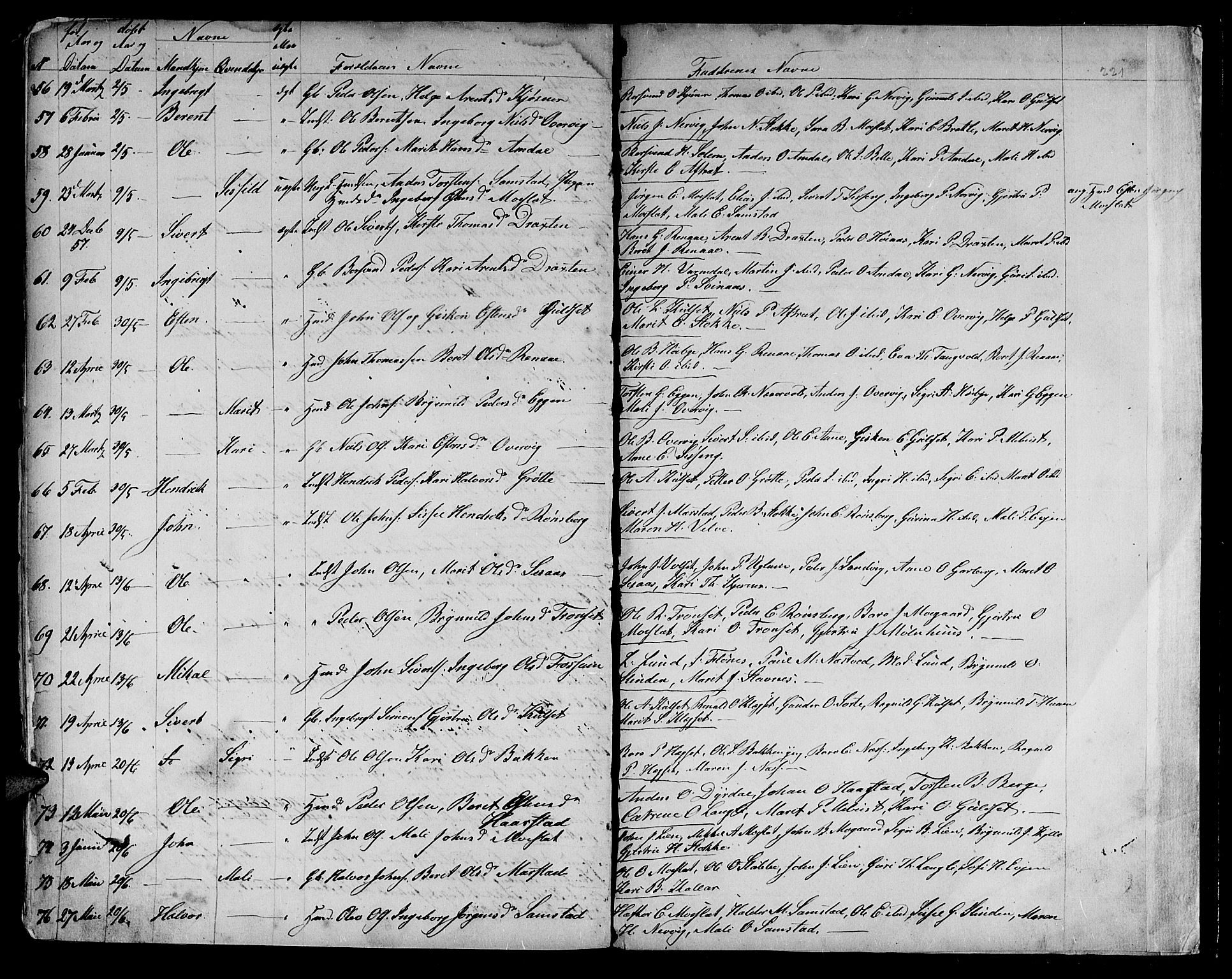 Ministerialprotokoller, klokkerbøker og fødselsregistre - Sør-Trøndelag, AV/SAT-A-1456/695/L1154: Klokkerbok nr. 695C05, 1842-1858, s. 221