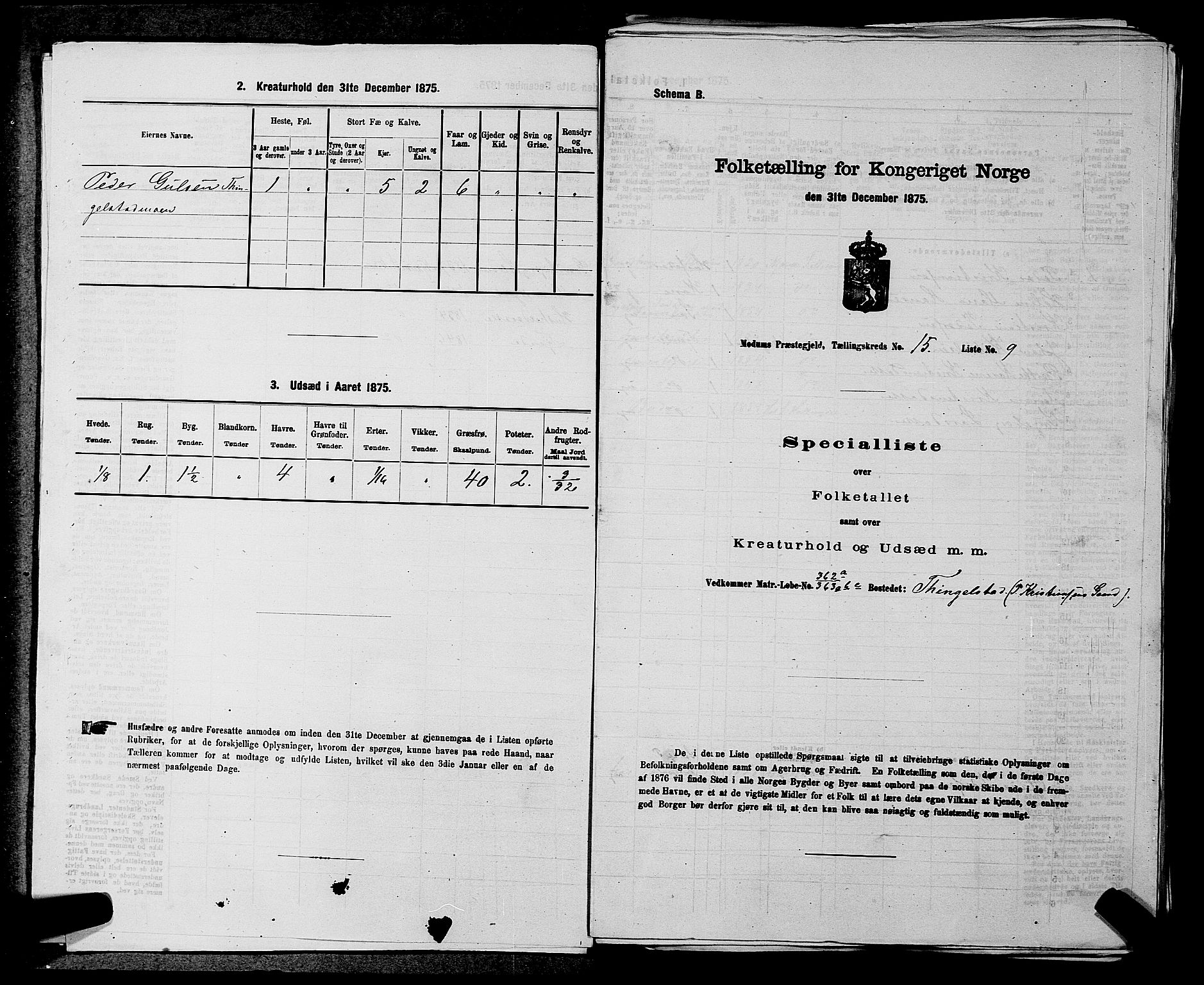 SAKO, Folketelling 1875 for 0623P Modum prestegjeld, 1875, s. 1795