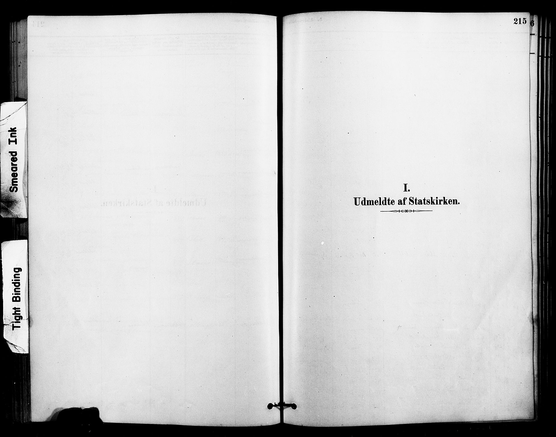 Ministerialprotokoller, klokkerbøker og fødselsregistre - Nordland, SAT/A-1459/897/L1399: Ministerialbok nr. 897C06, 1881-1896, s. 215