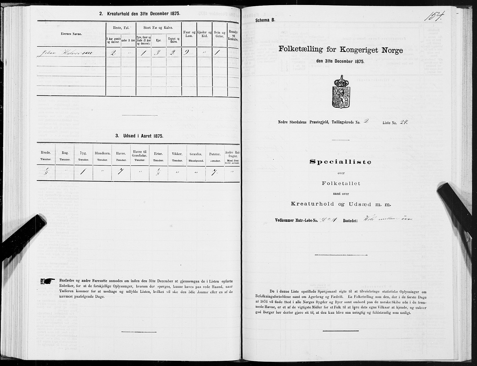 SAT, Folketelling 1875 for 1714P Nedre Stjørdal prestegjeld, 1875, s. 1154