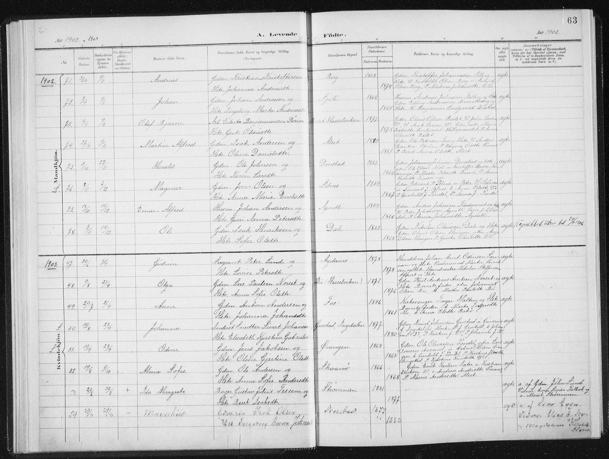 Ministerialprotokoller, klokkerbøker og fødselsregistre - Sør-Trøndelag, SAT/A-1456/647/L0635: Ministerialbok nr. 647A02, 1896-1911, s. 63