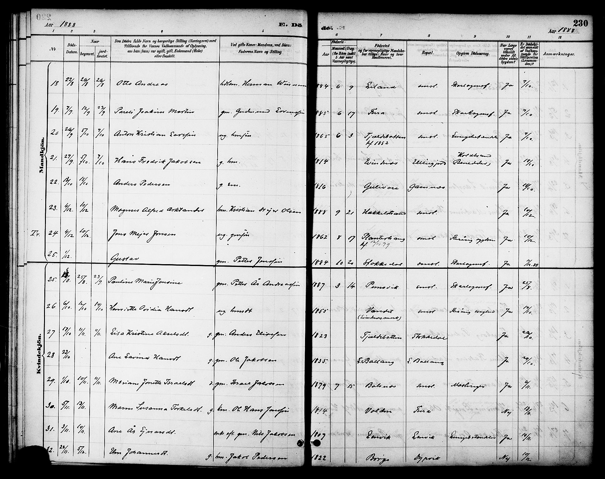 Ministerialprotokoller, klokkerbøker og fødselsregistre - Nordland, AV/SAT-A-1459/863/L0898: Ministerialbok nr. 863A10, 1886-1897, s. 230