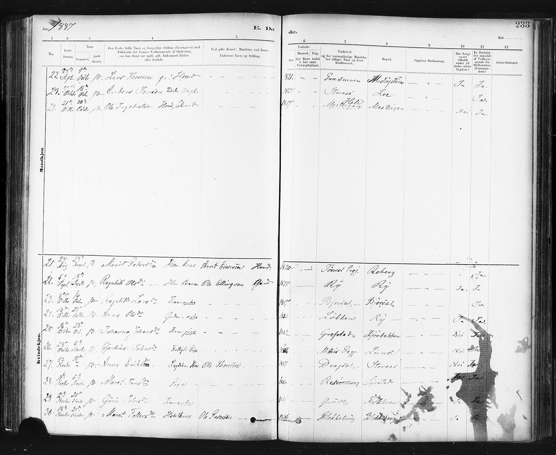 Ministerialprotokoller, klokkerbøker og fødselsregistre - Sør-Trøndelag, SAT/A-1456/672/L0857: Ministerialbok nr. 672A09, 1882-1893, s. 233