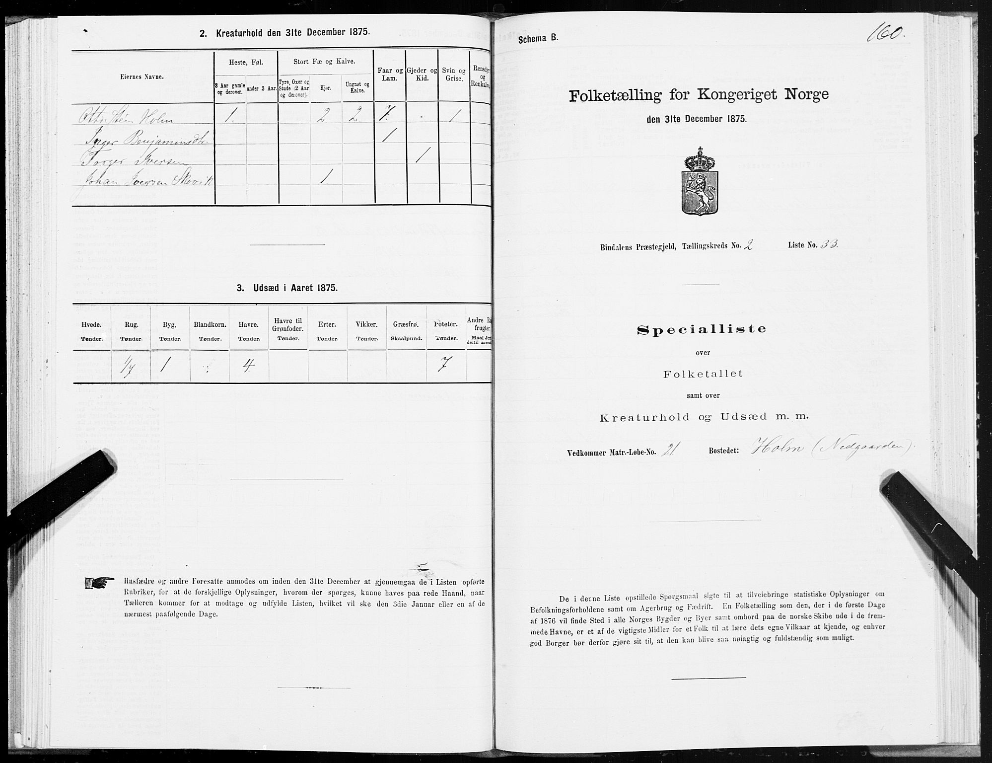 SAT, Folketelling 1875 for 1811P Bindal prestegjeld, 1875, s. 1160