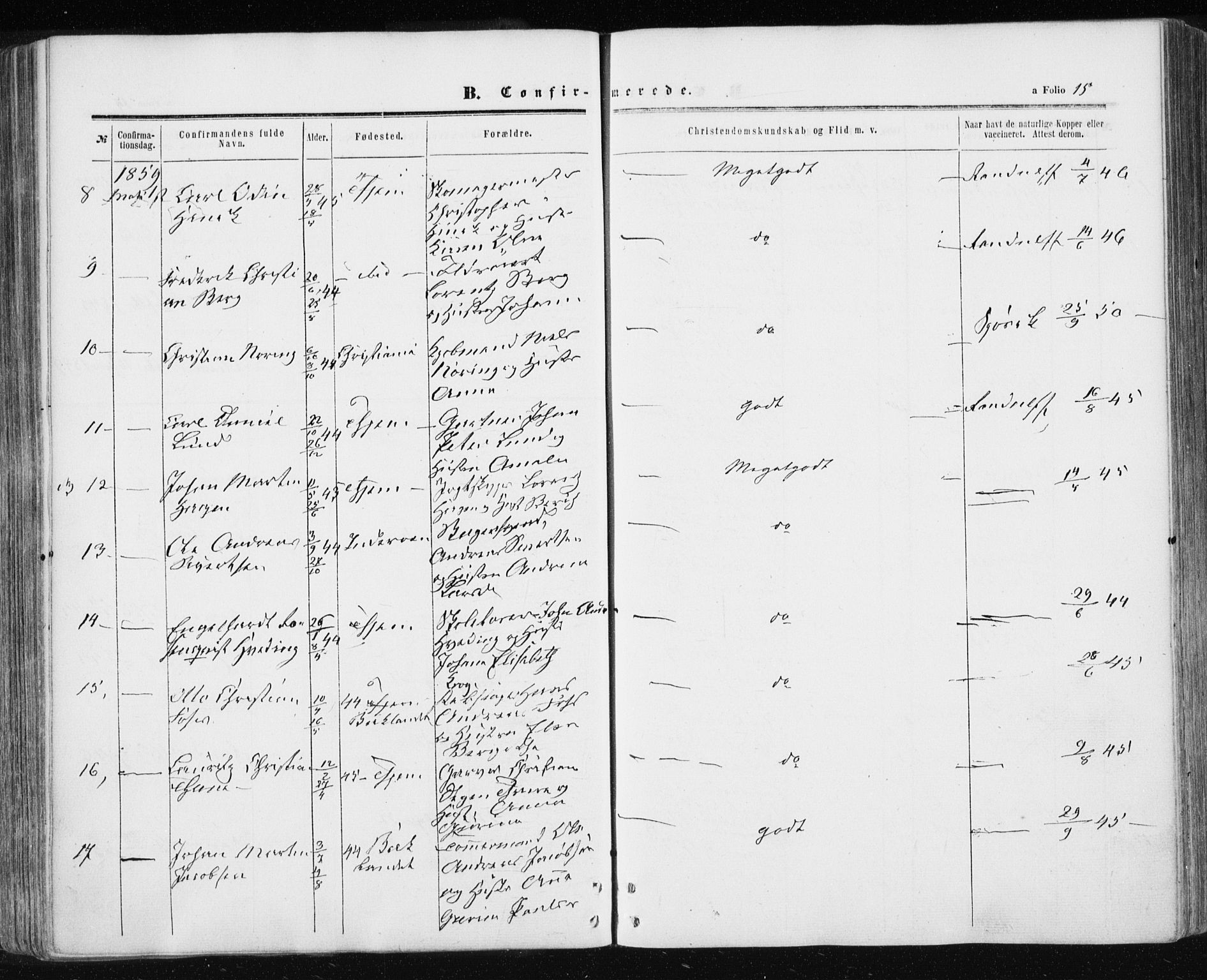 Ministerialprotokoller, klokkerbøker og fødselsregistre - Sør-Trøndelag, AV/SAT-A-1456/601/L0053: Ministerialbok nr. 601A21, 1857-1865, s. 15