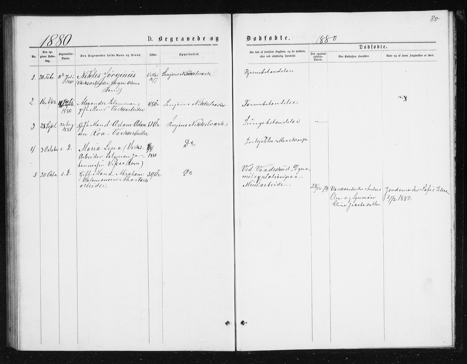 Berg sokneprestkontor, SATØ/S-1318/G/Ga/Gab/L0016klokker: Klokkerbok nr. 16, 1877-1880, s. 80